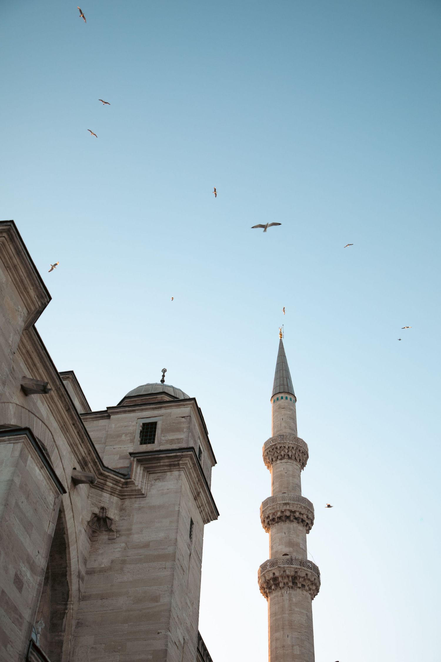 Low angle view of a mosque minaret and stone walls with seagulls flying against a clear blue sky in Istanbul.