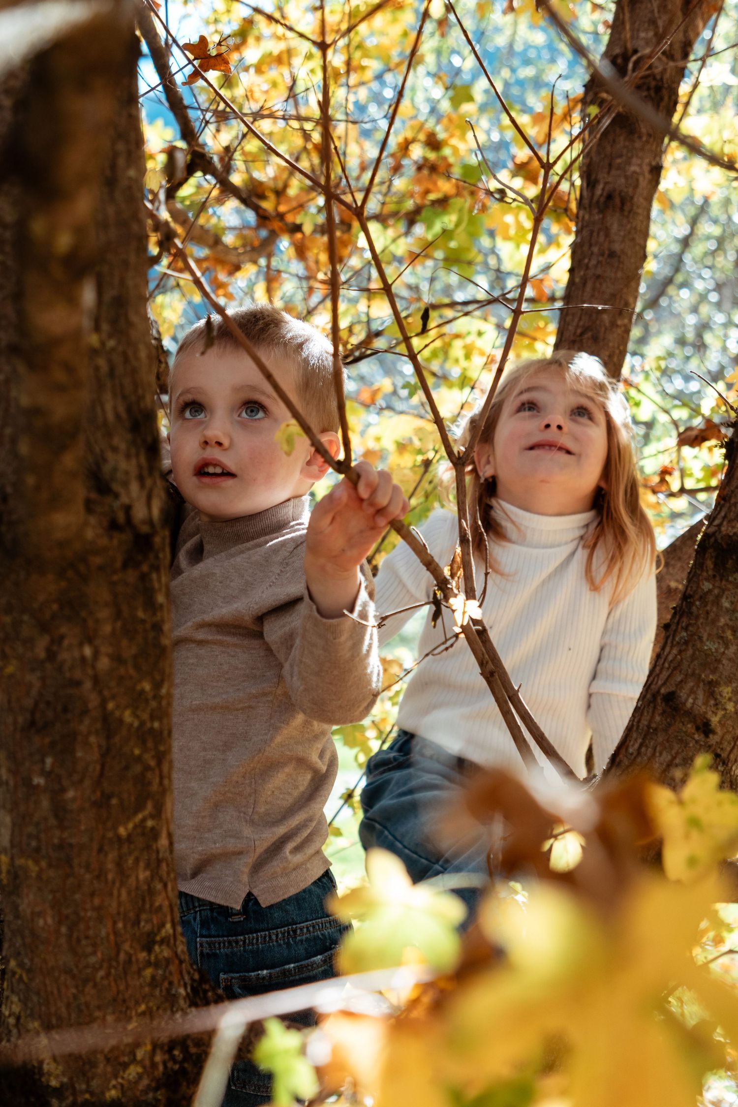 Two young children explore an autumn tree, looking up curiously while holding branches.