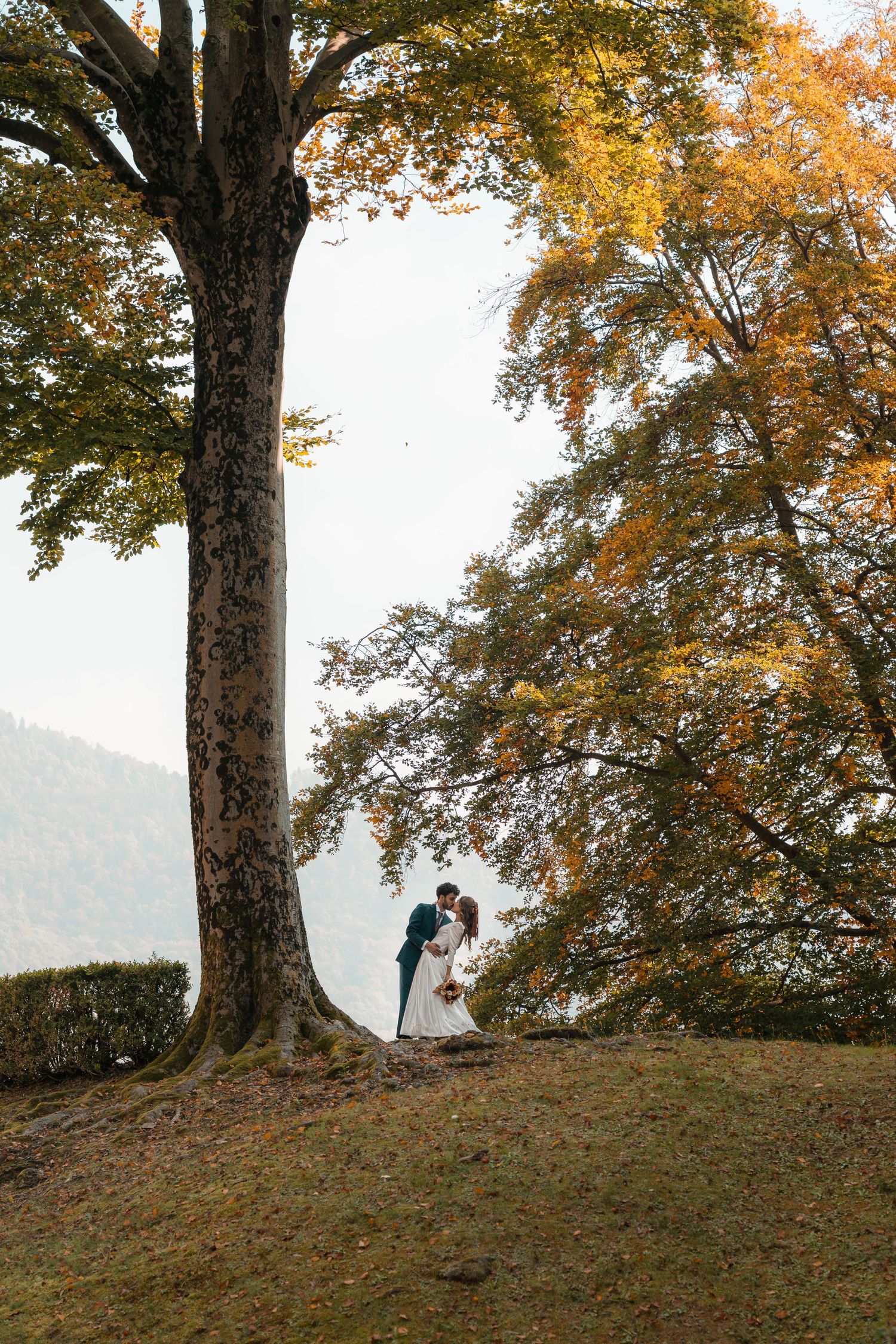 Bride and groom sharing romantic kiss under large autumn tree with colorful fall foliage.