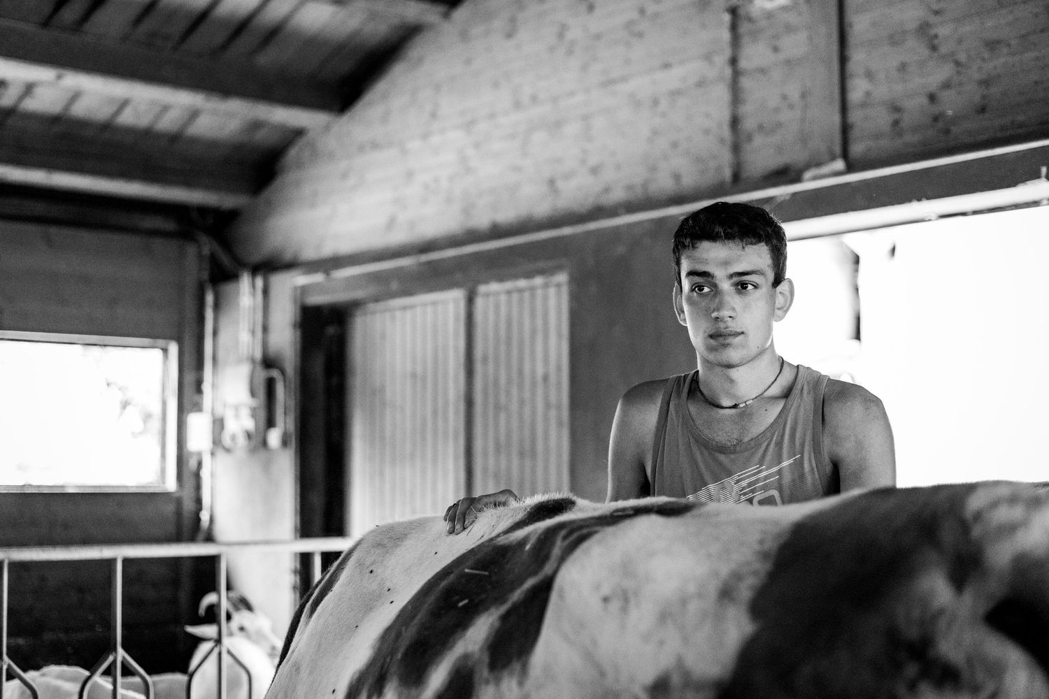 A young man stands beside a cow in a black and white farm barn photo.