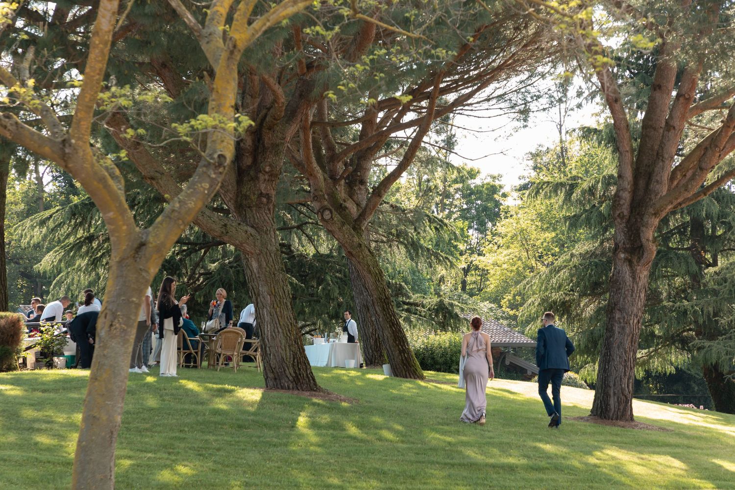 Wedding guests walking through sunlit park with tall pine trees toward outdoor ceremony.