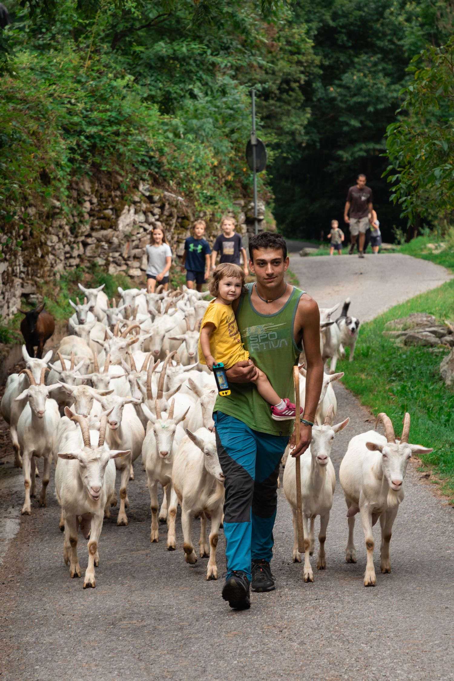 Young farmer carrying child leading herd of white goats down rural tree-lined road.
