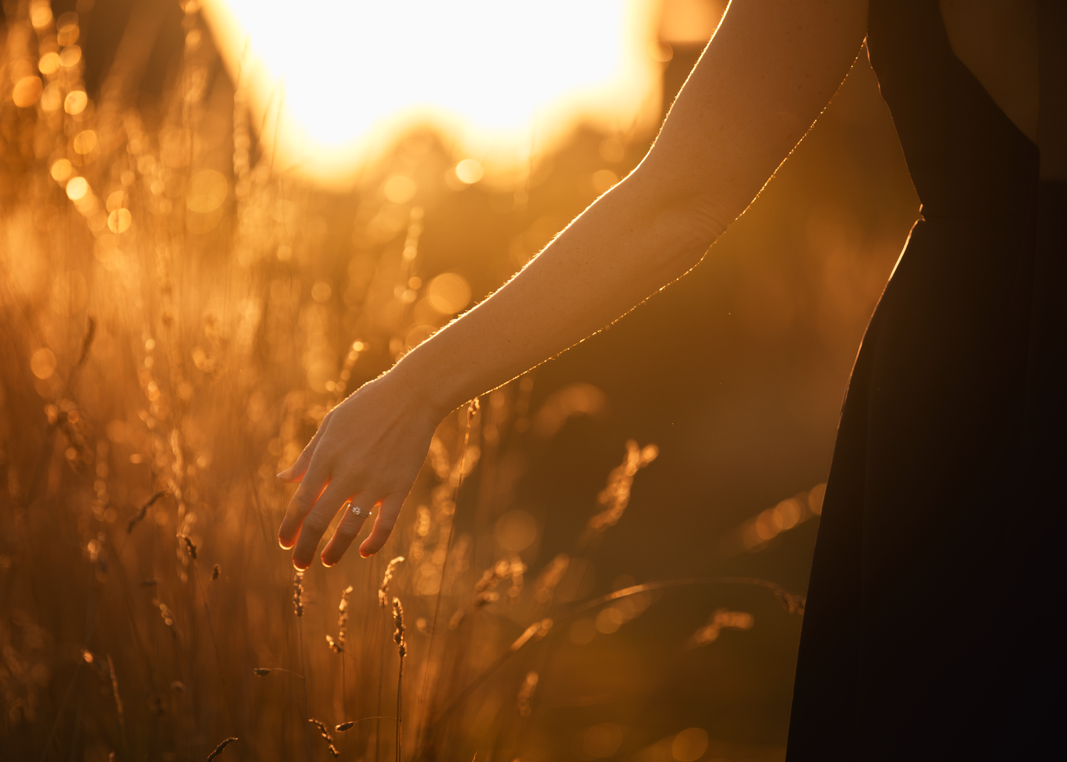 A hand gently touches tall grass in a golden sunset field creating a dreamy silhouette effect.