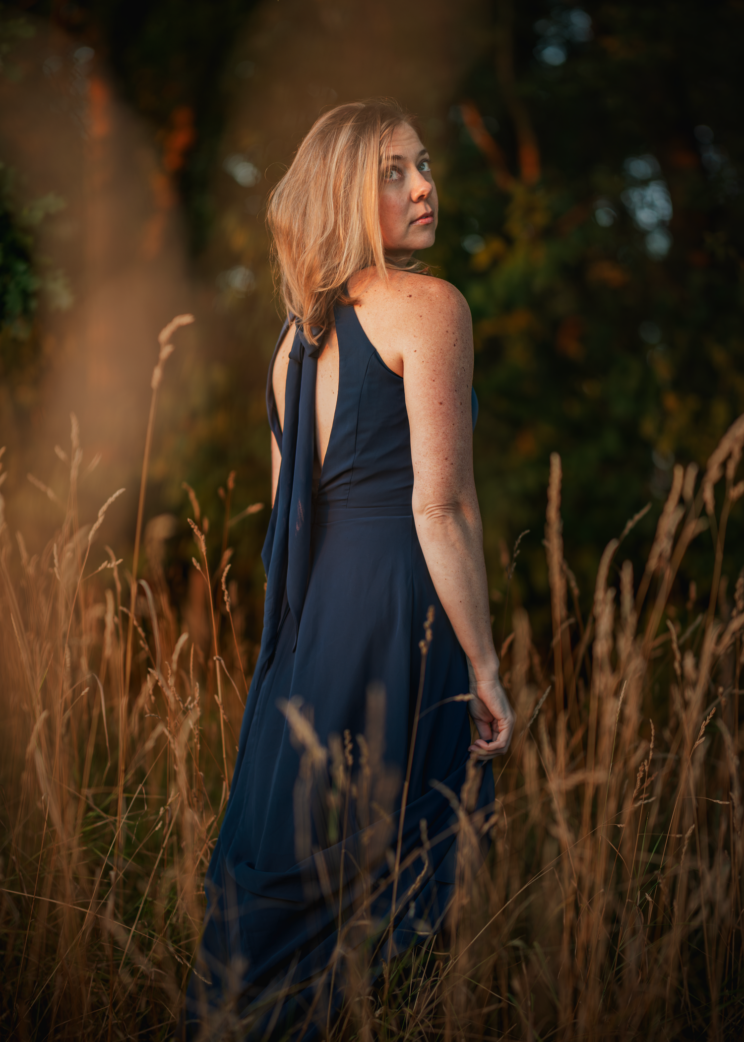 A woman in a navy blue dress poses in a field of tall golden grass at sunset with warm backlighting.