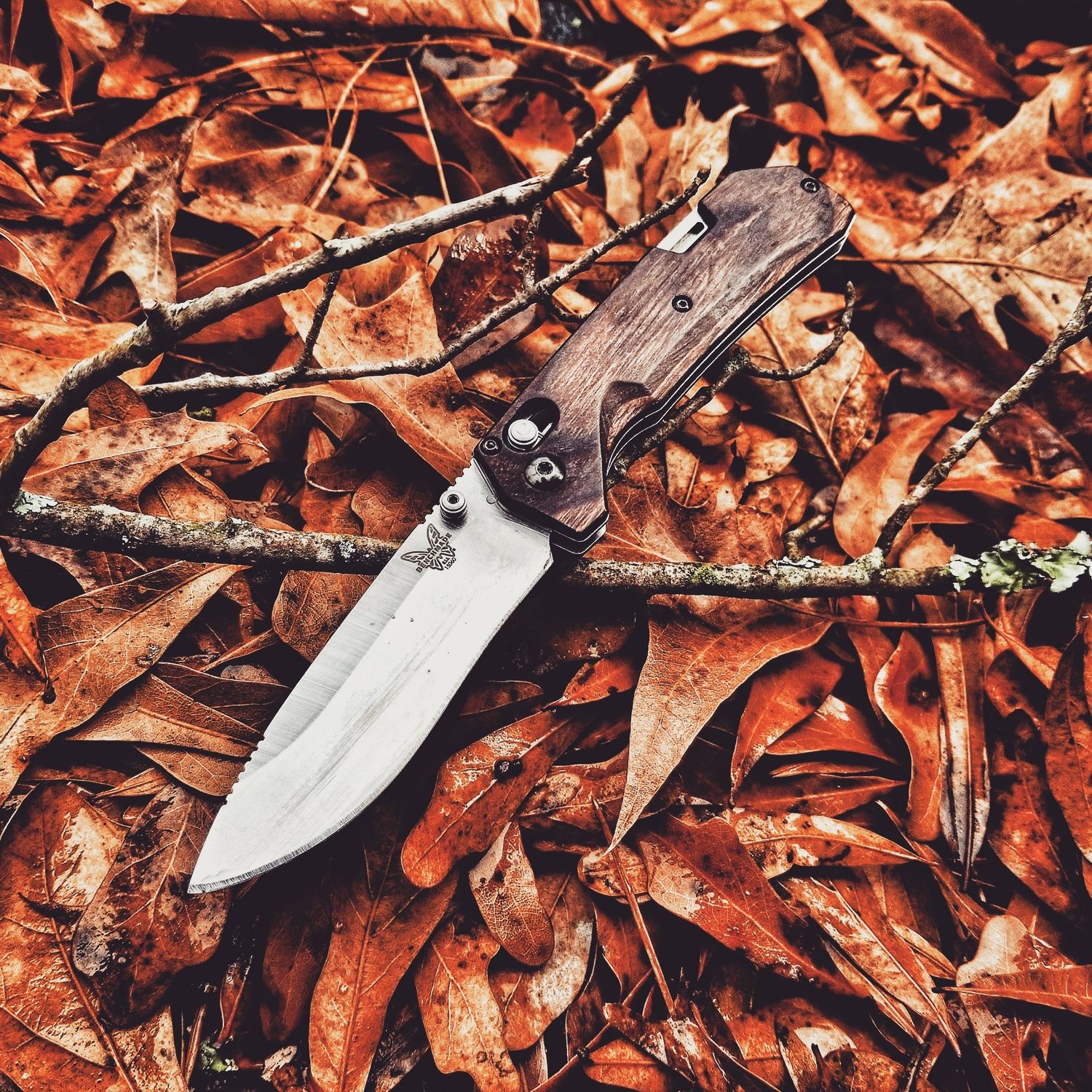Close-up photograph of a folding knife placed on fallen leaves.