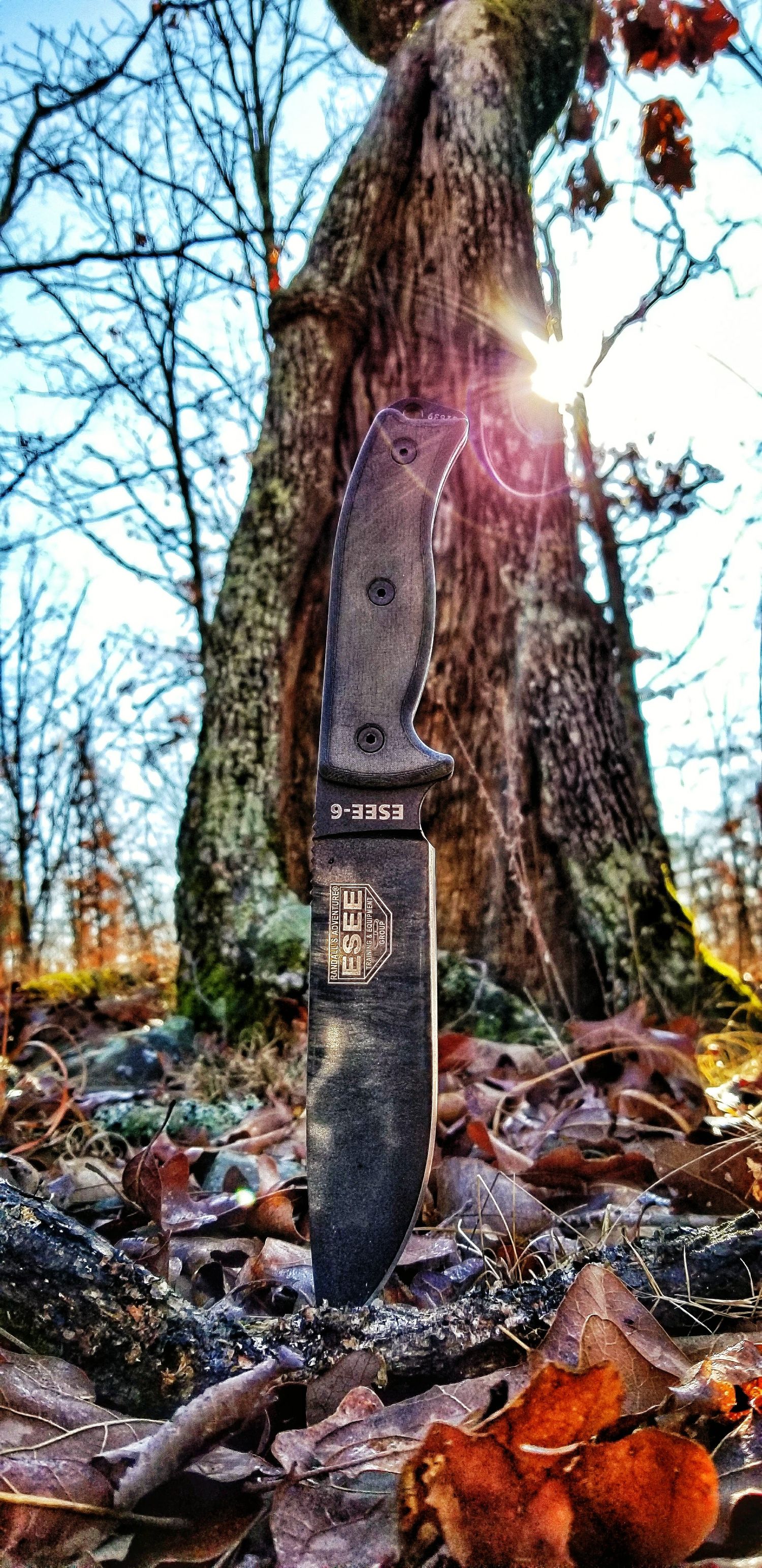 Fixed-blade bushcraft knife standing upright among leaves and branches with sunlight behind it.