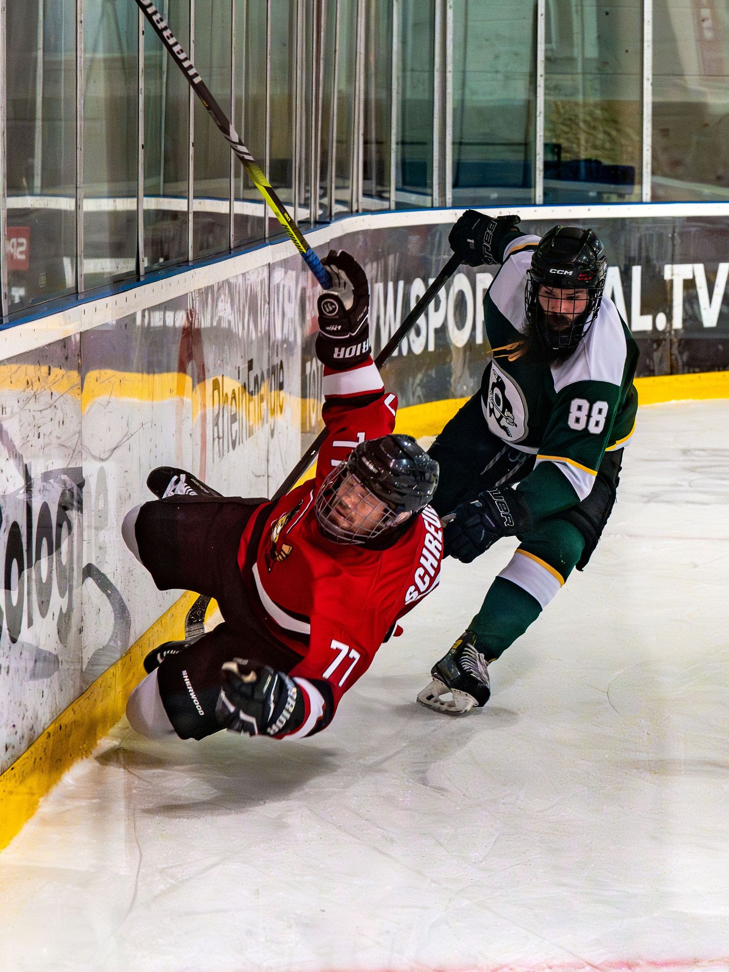 Action sports photograph of two ice hockey players colliding along the boards during a game.