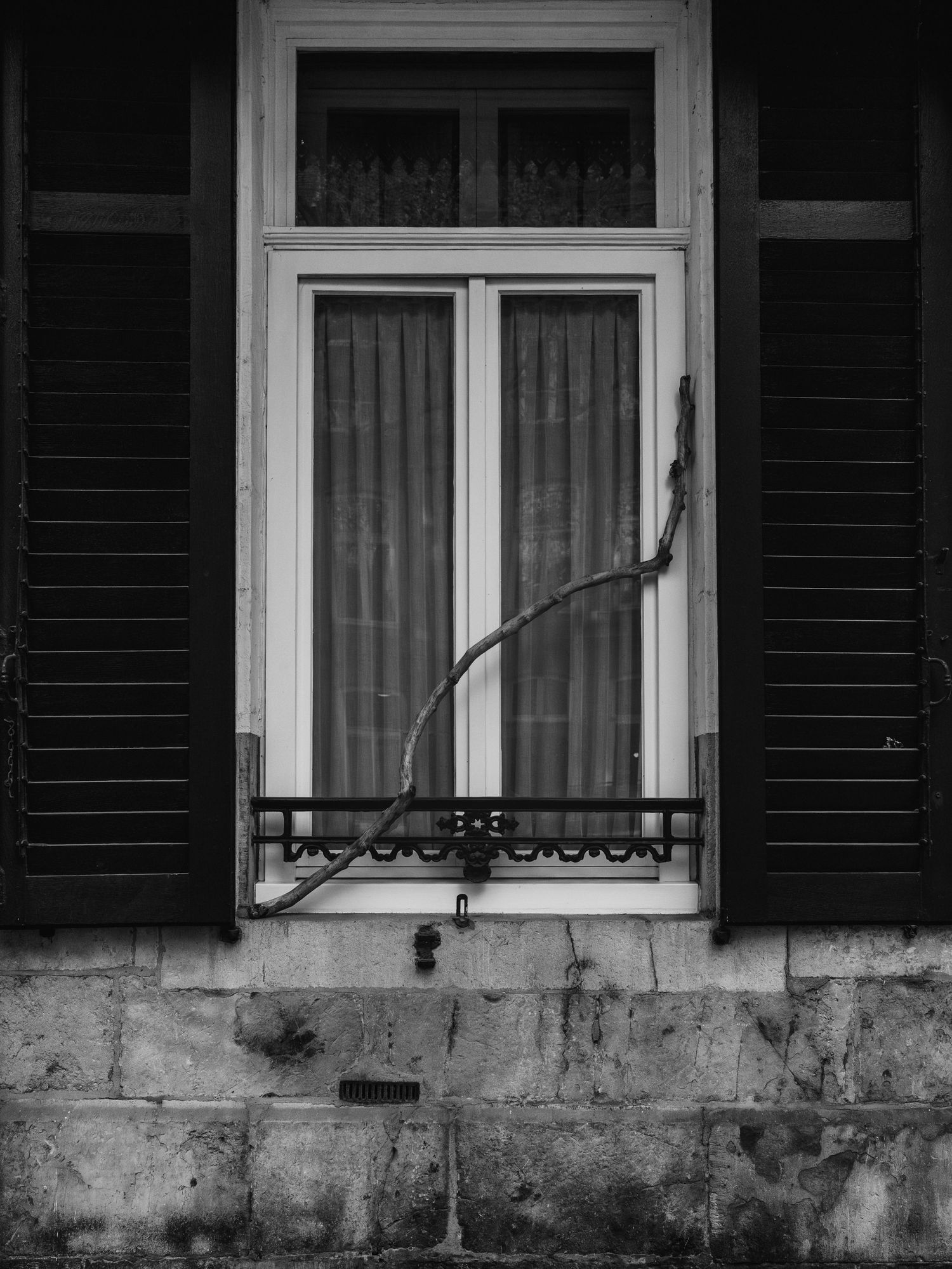 Black and white architectural detail showing a row of windows with shutters and ornate iron railings on a weathered stone wall.