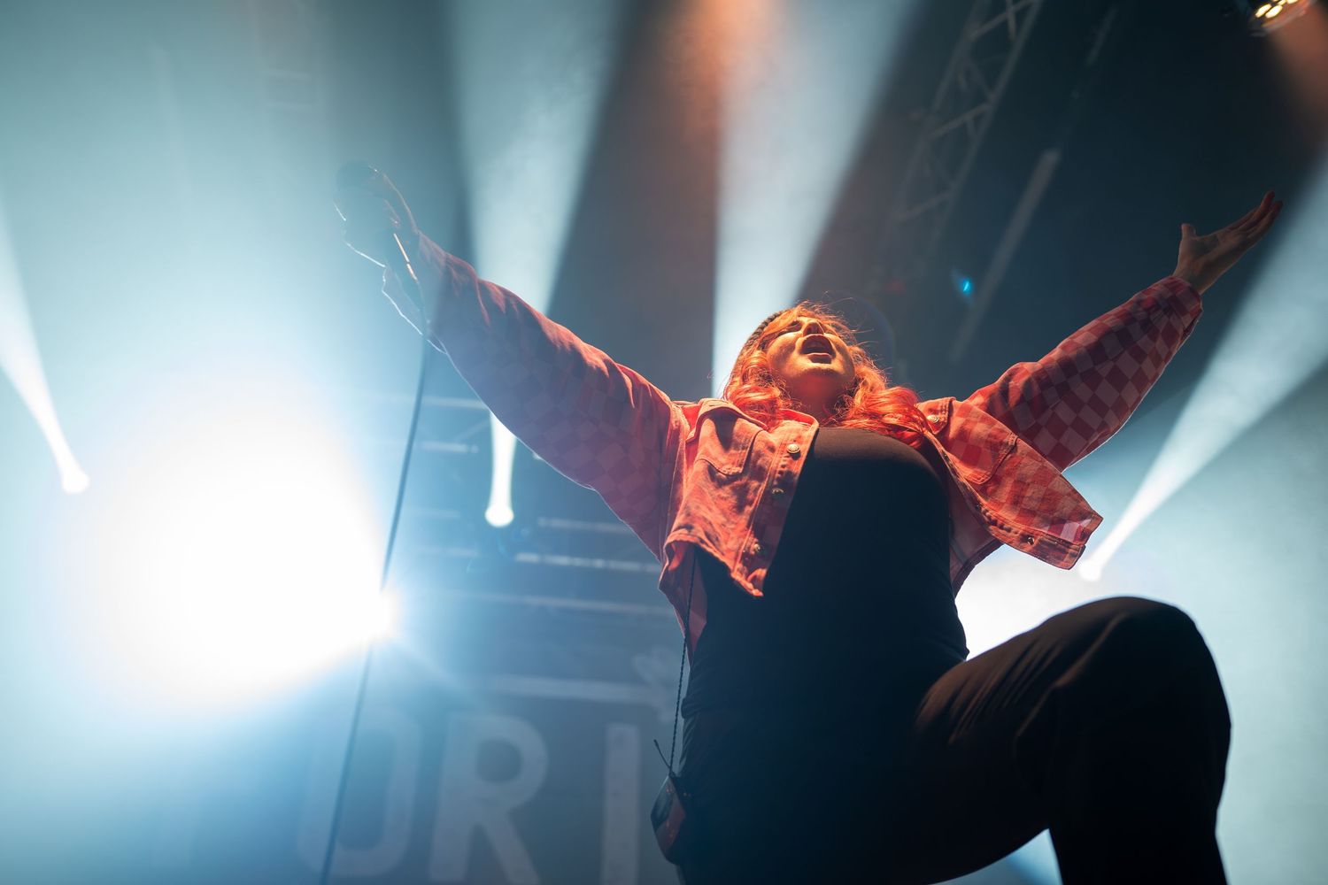 Concert performer silhouetted against dramatic blue stage lighting during an energetic live music performance.