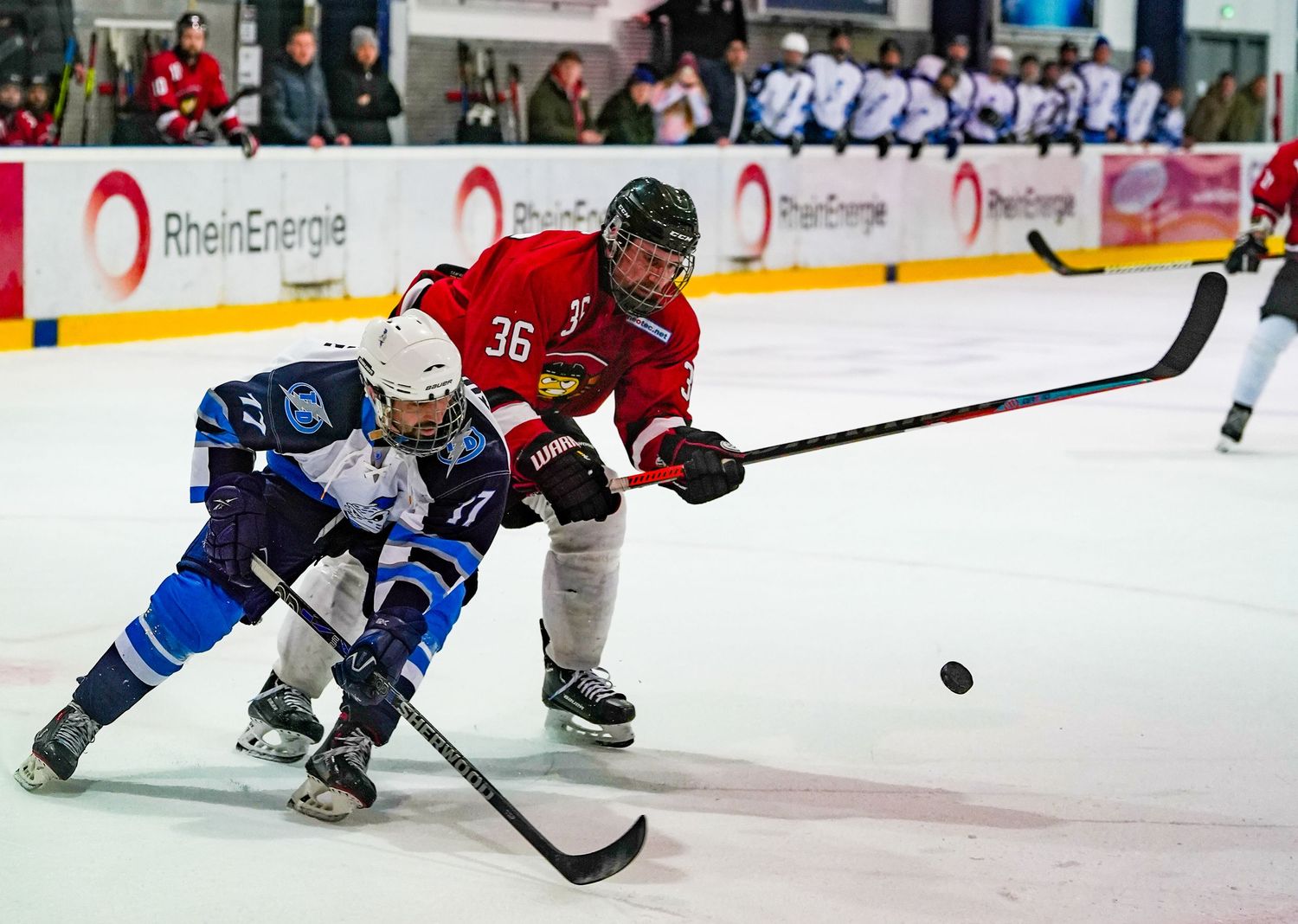 Hockey players battle for the puck during an intense ice hockey match with red and blue jerseys visible.