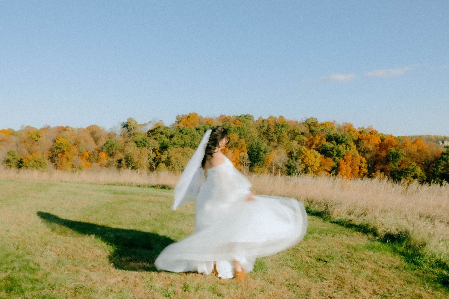 Bride's white dress flowing in the wind against autumn trees and rolling hills.