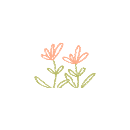 Whimsical floral illustrations in coral and sage green watercolor style.