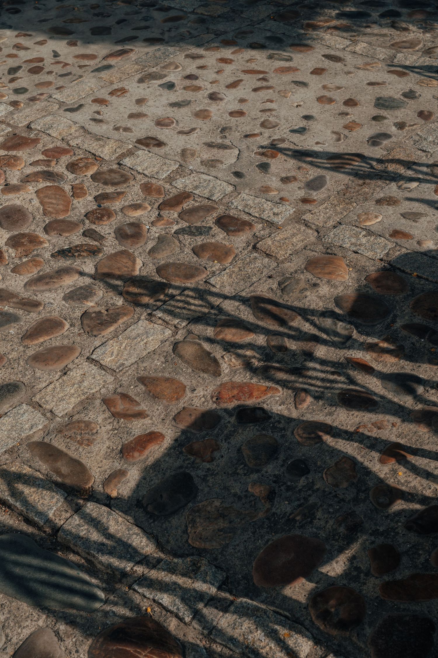 Cobblestone courtyard floor with natural shadows cast by tree branches in warm sunlight.