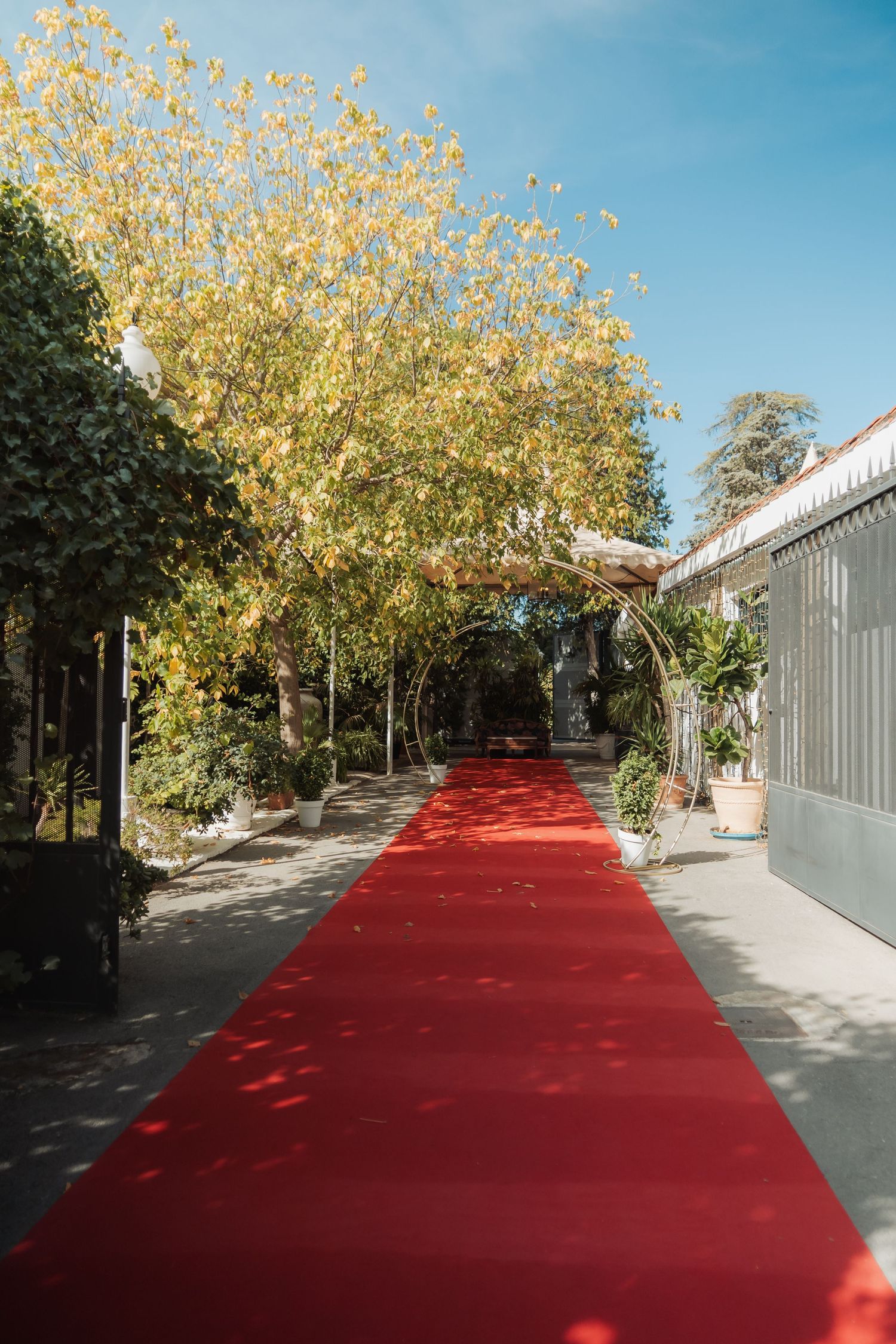 Elegant red carpet pathway lined with autumn trees leads to outdoor wedding venue.