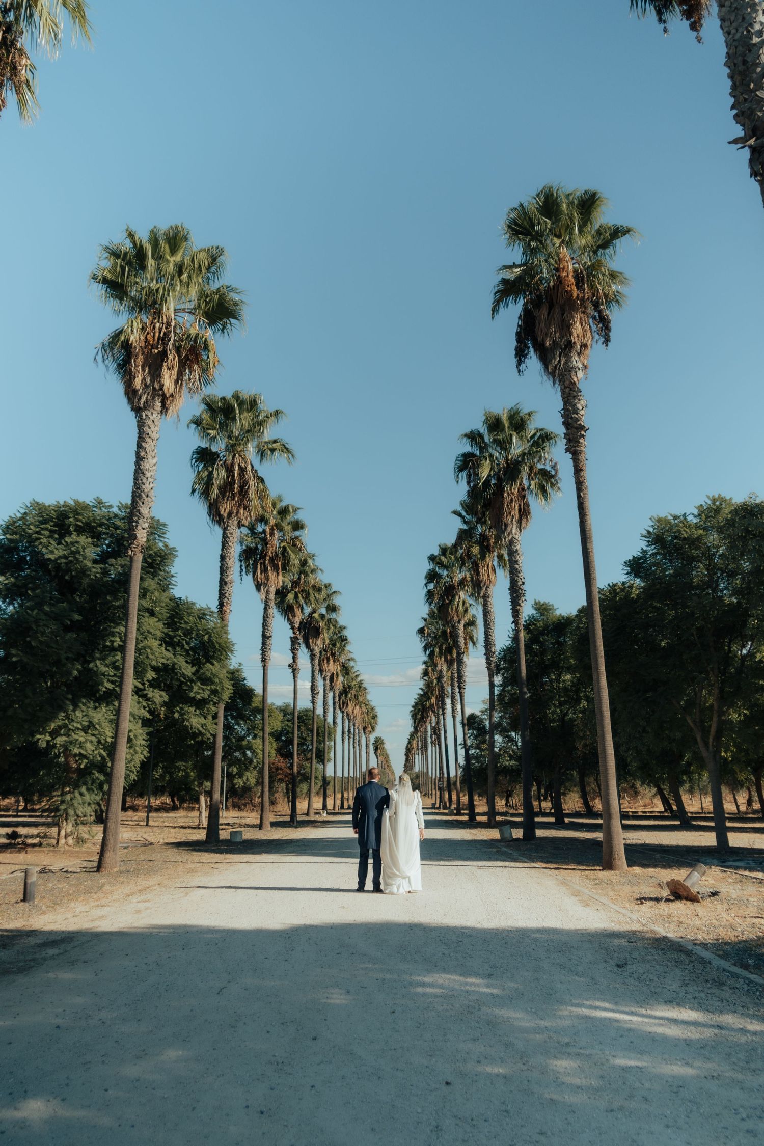 Bride and groom walking hand in hand down a palm tree-lined path under a clear blue sky.