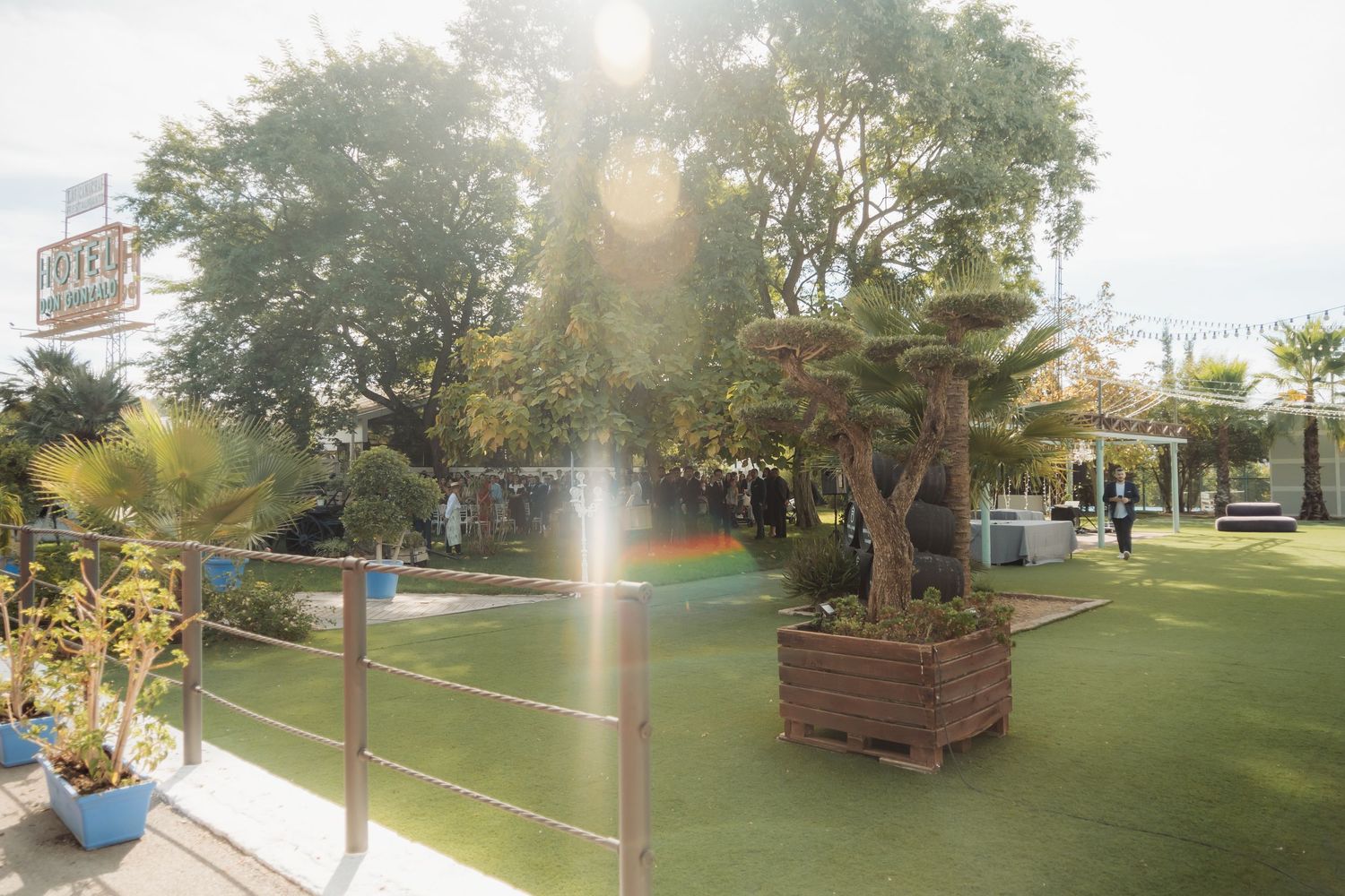 Sunlit outdoor wedding venue garden with decorative potted bonsai tree centerpiece.