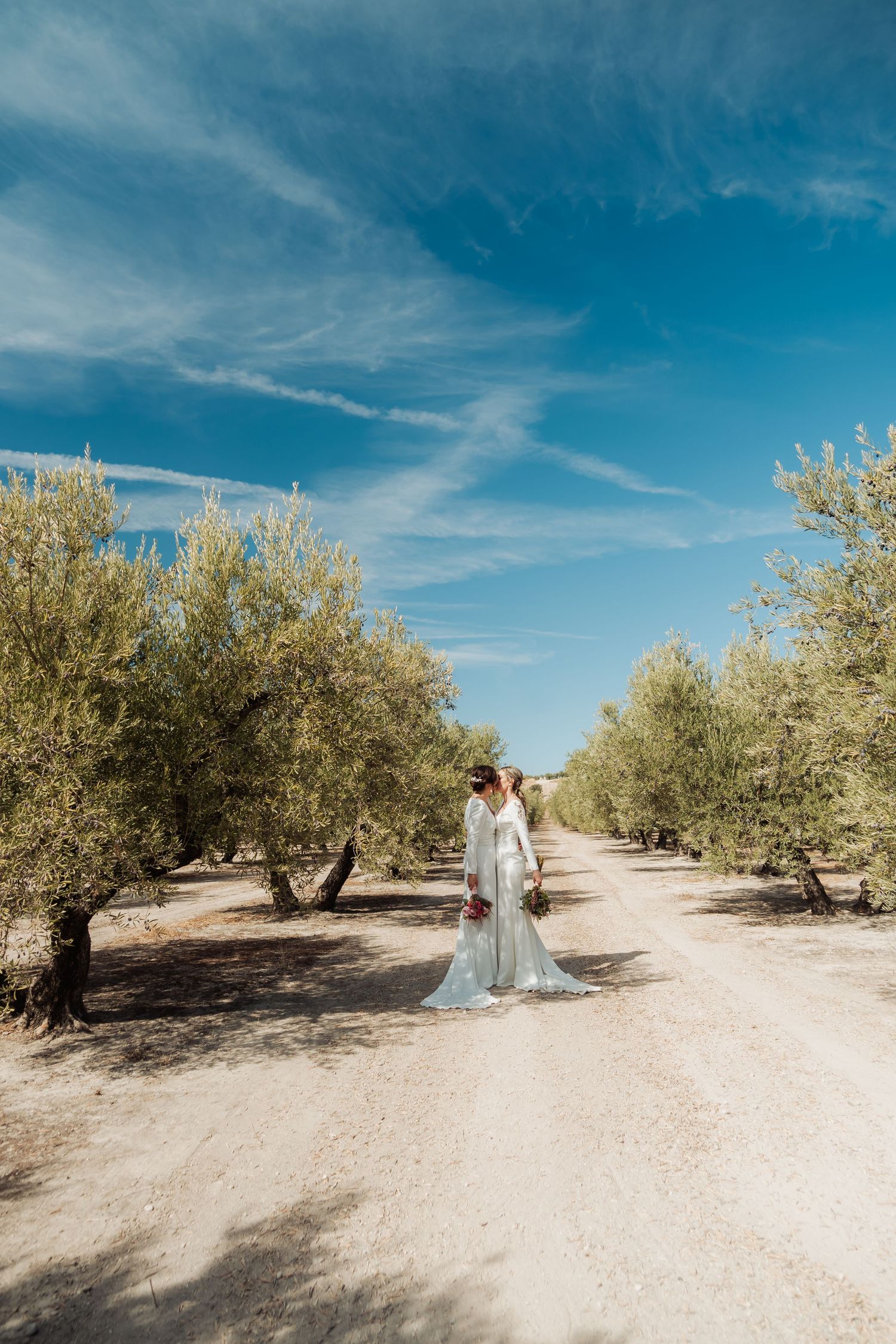 Bride in a long white dress standing on a wide dirt road flanked by tall olive trees.