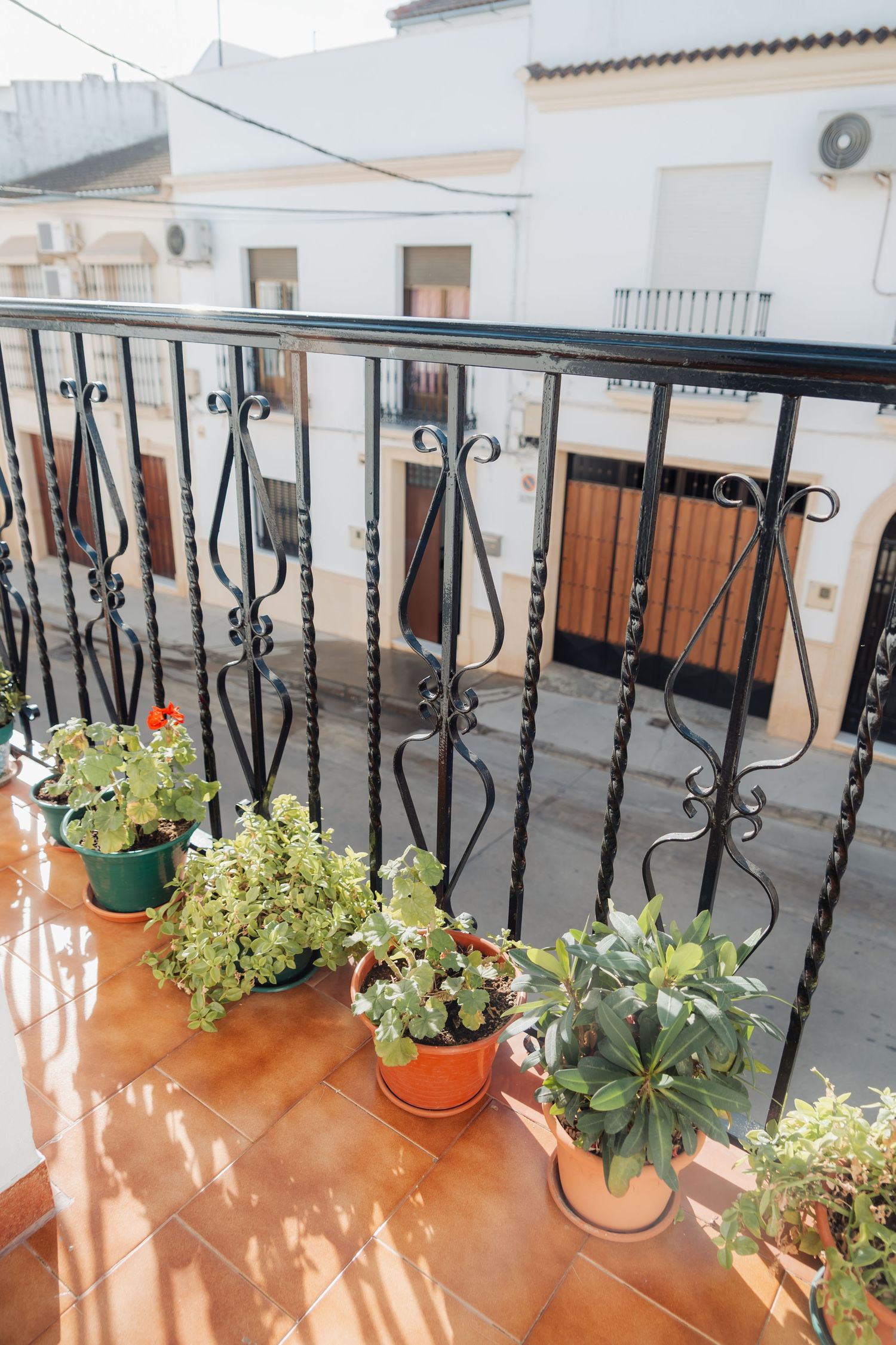 Sunny Spanish balcony with ornate black iron railing and colorful potted plants.