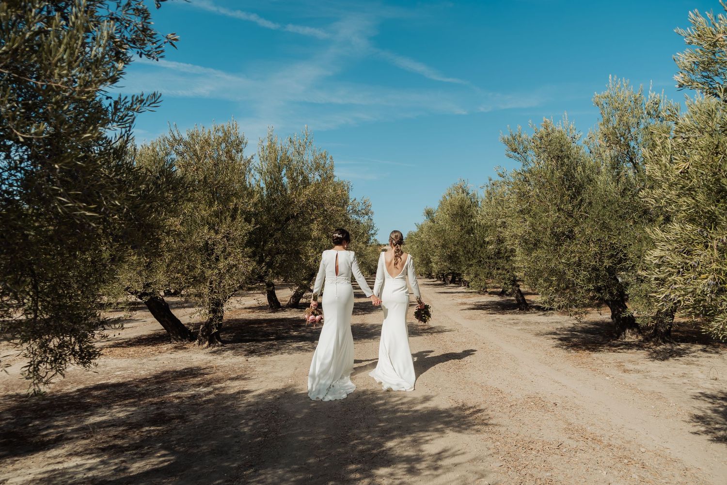 Two brides in white wedding gowns walking hand in hand through a sunlit olive tree grove.