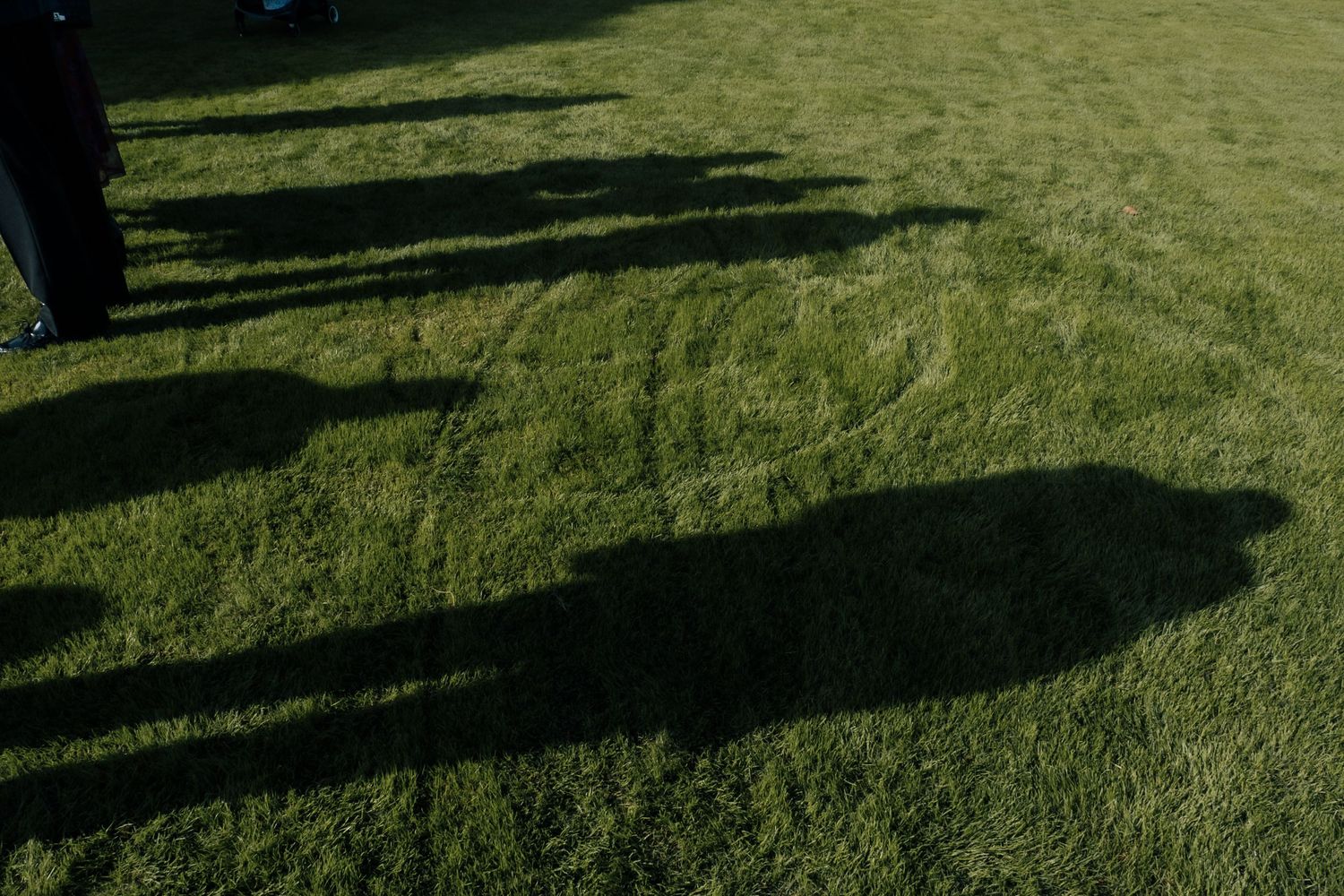 Long shadows of wedding guests cast across green grass lawn during outdoor ceremony.