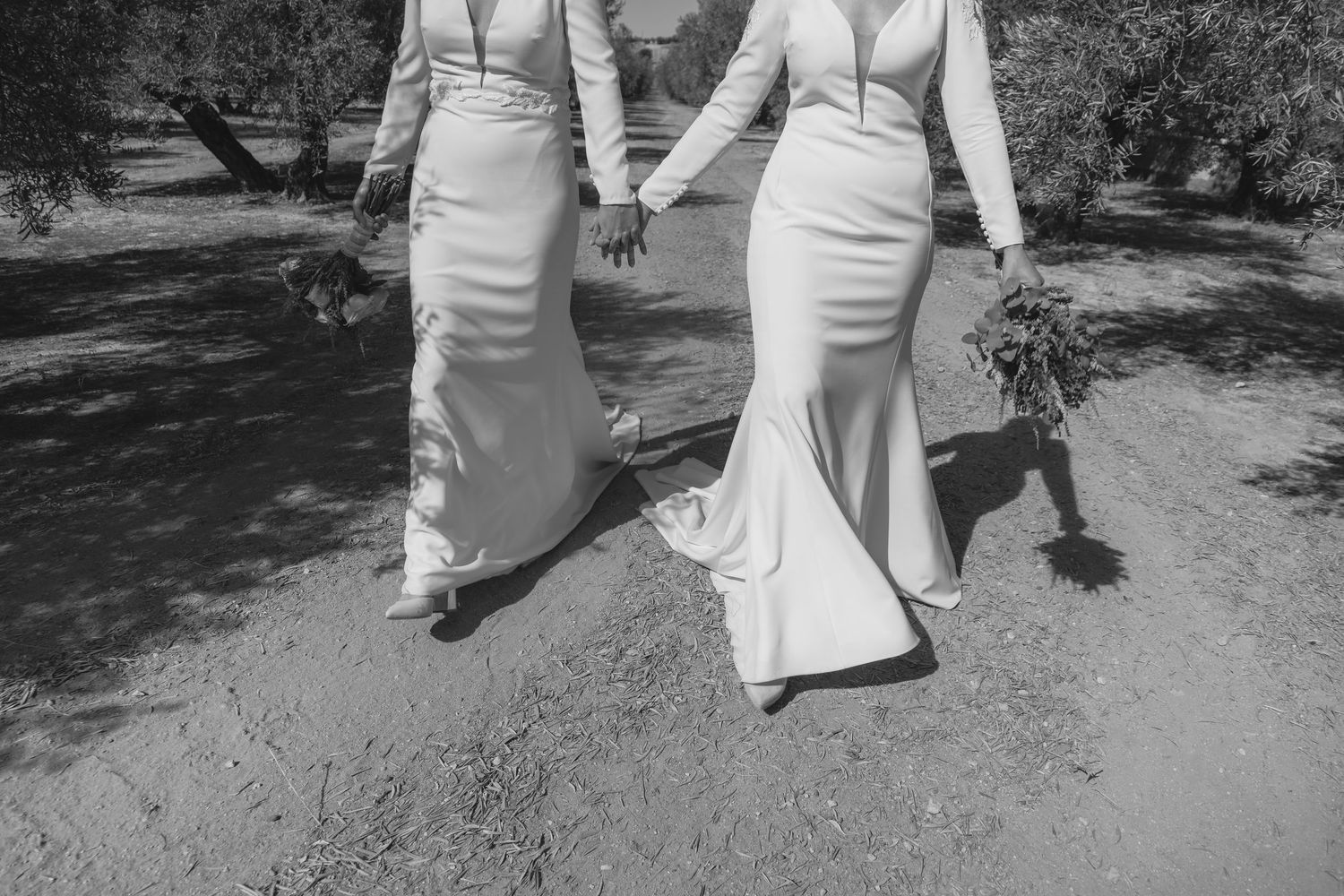 Black and white photo of two brides in white gowns holding hands while walking through olive grove.