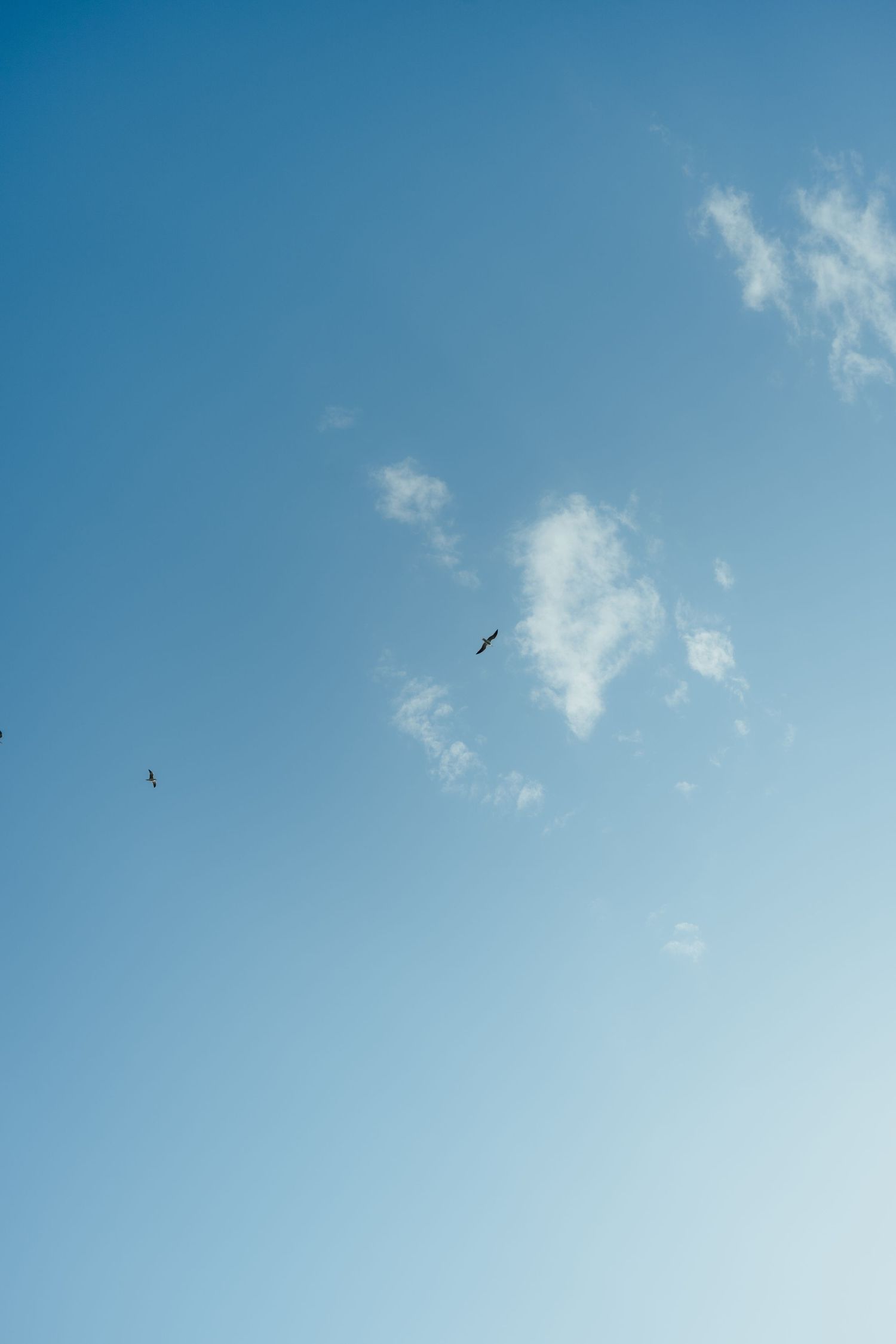 Blue sky with wispy white clouds and two birds soaring freely on a clear sunny day.