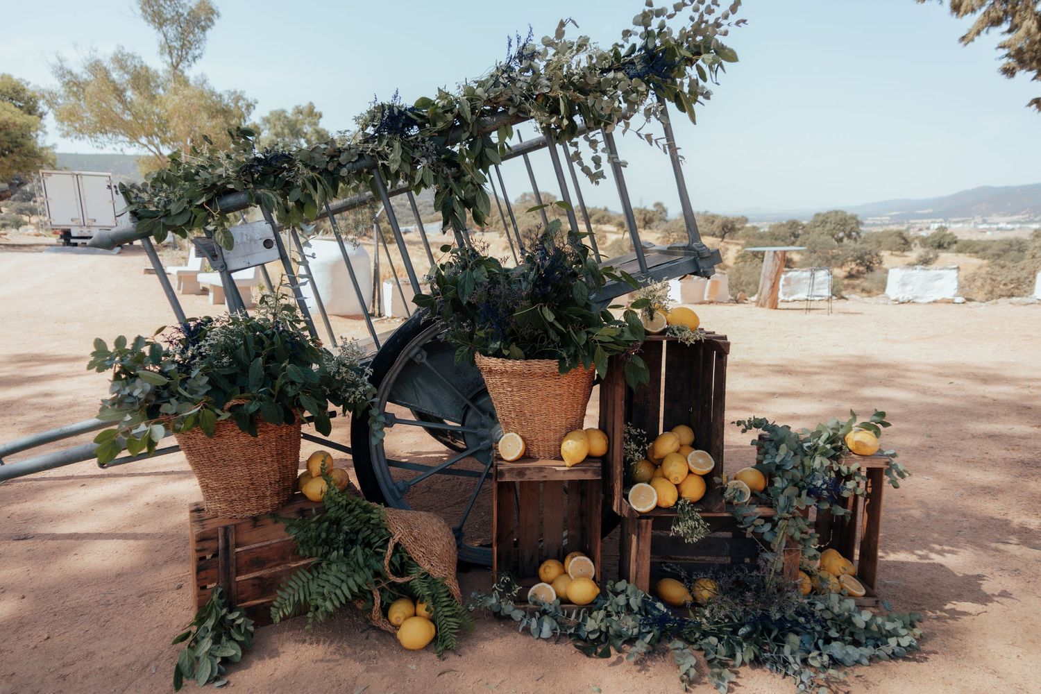 Rustic wedding decoration featuring an antique wooden cart adorned with lemons, greenery, and potted plants outdoors.