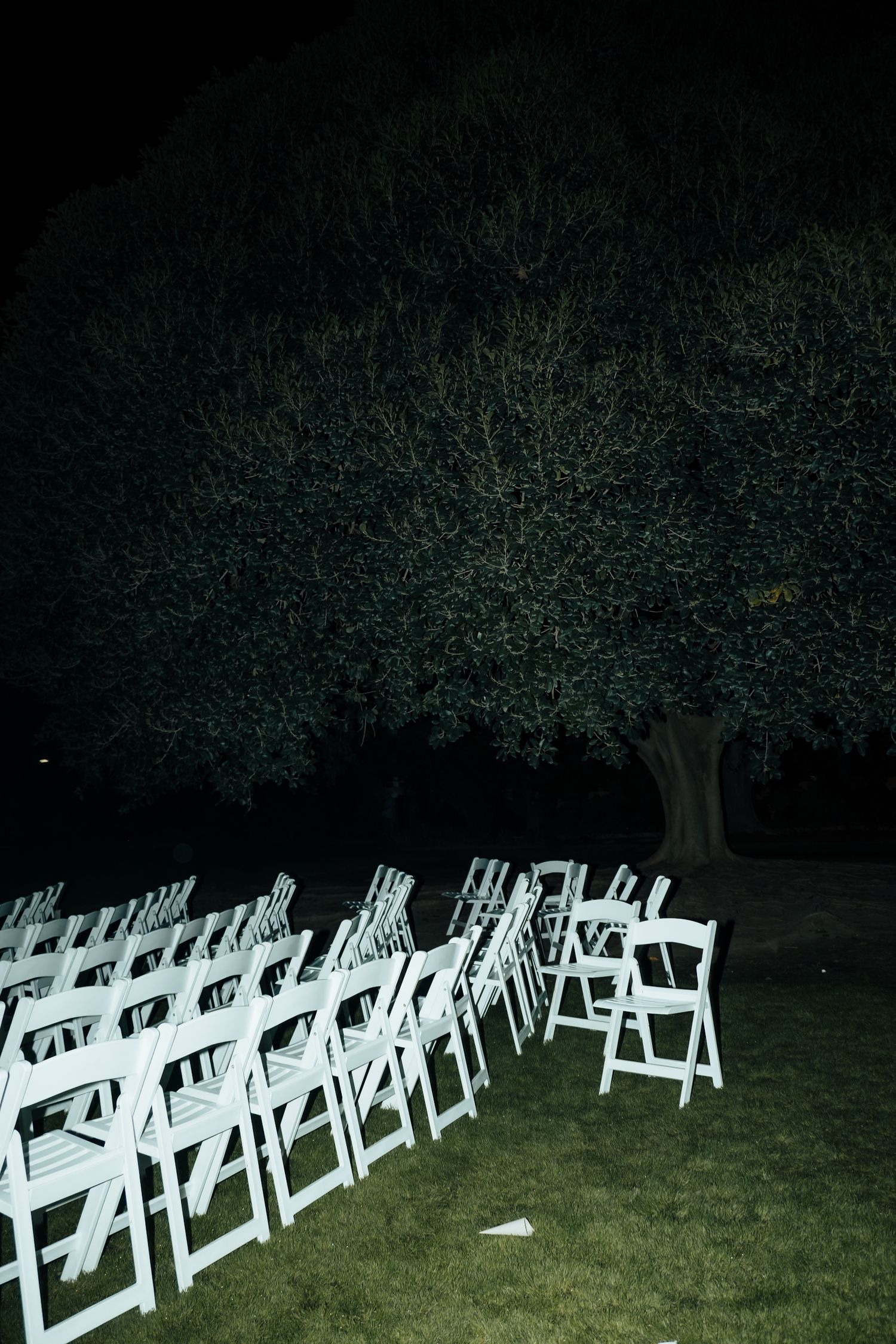 Rows of empty white folding chairs arranged on grass under a large illuminated tree at night wedding.