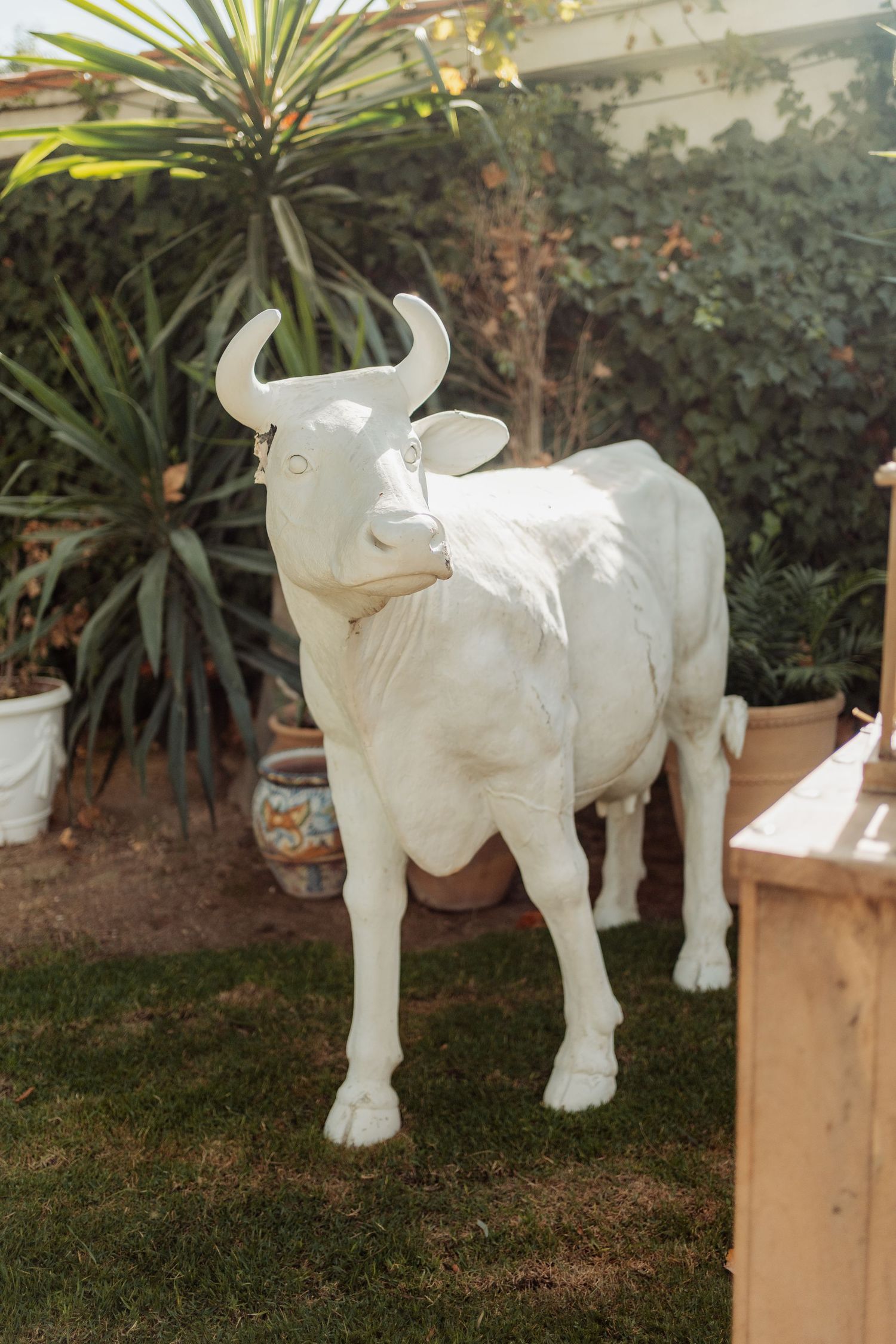 White decorative bull statue standing on green grass among tropical plants at a wedding venue.