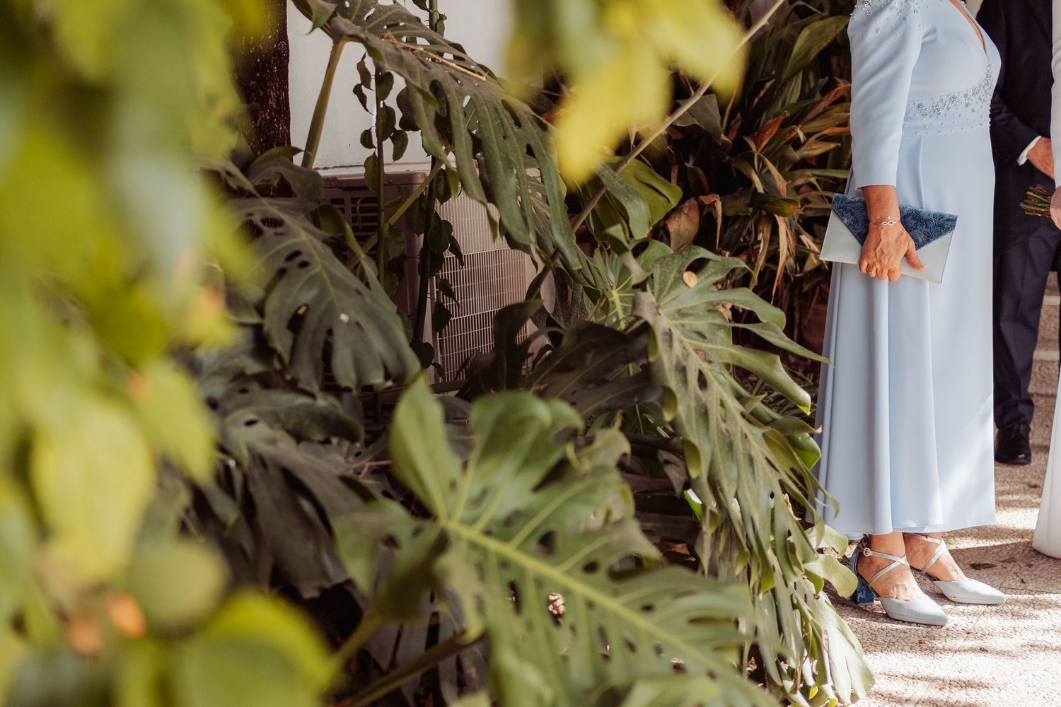 Lush tropical monstera leaves frame a woman in a light blue gown holding a clutch at an elegant wedding venue.