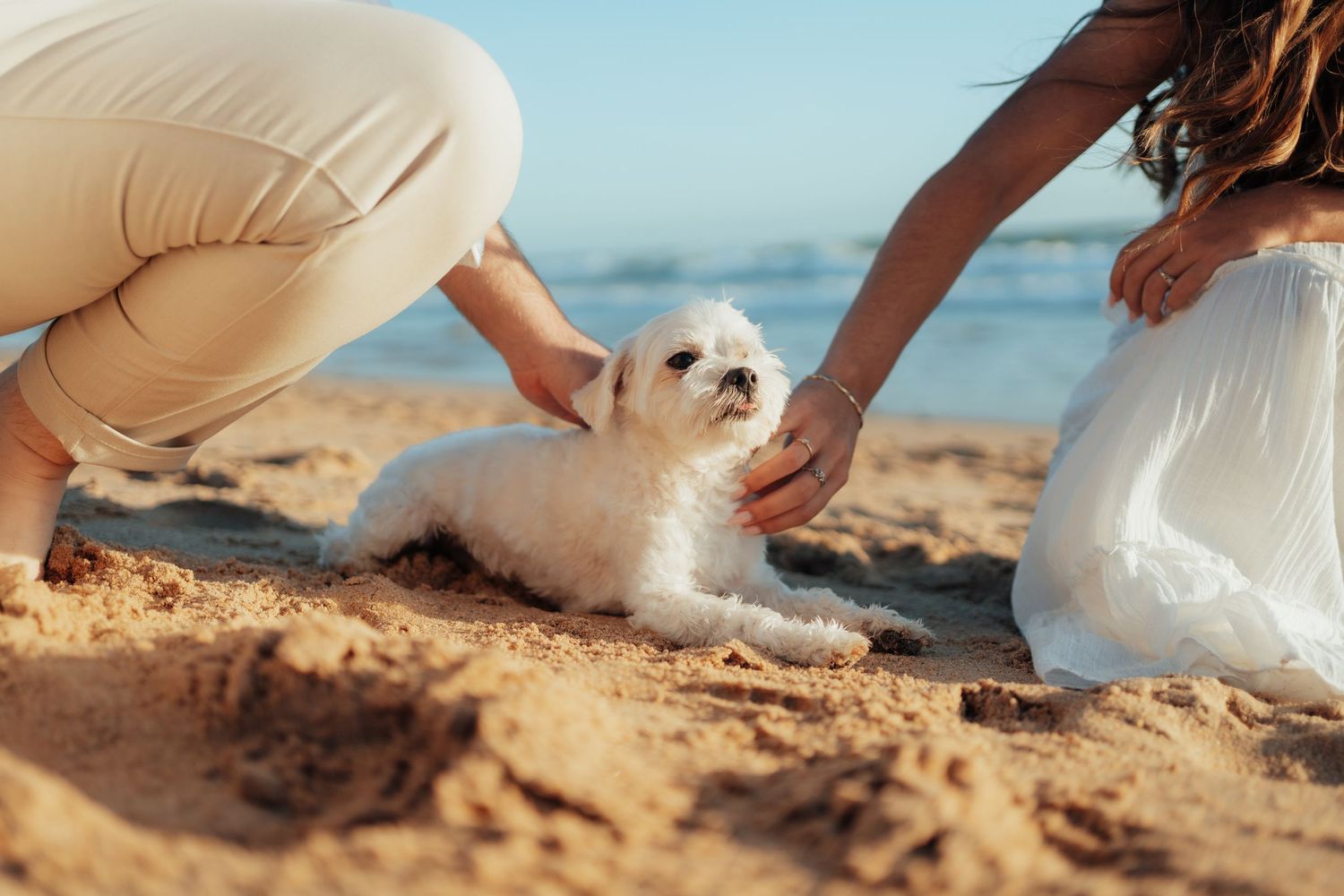 Two people petting a fluffy white Maltese dog lying on sandy beach in warm sunlight.