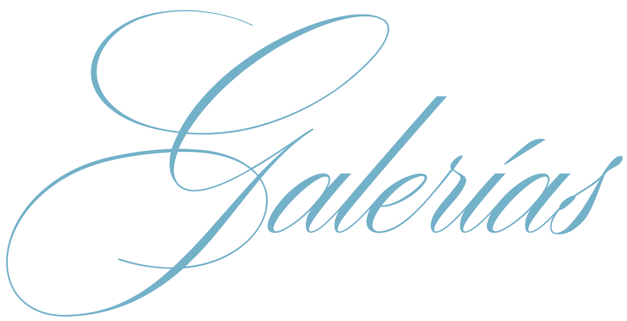 Elegant cursive script logo reading Galerias in light blue on white background.