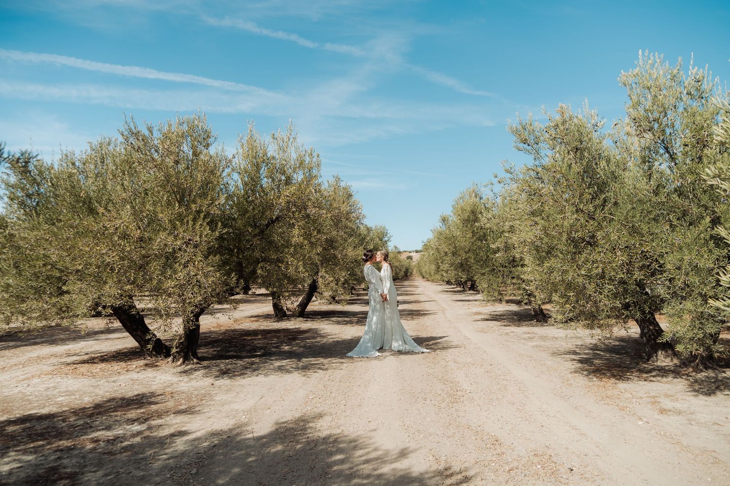 Bride in a flowing white gown standing alone on a dirt path surrounded by olive trees.