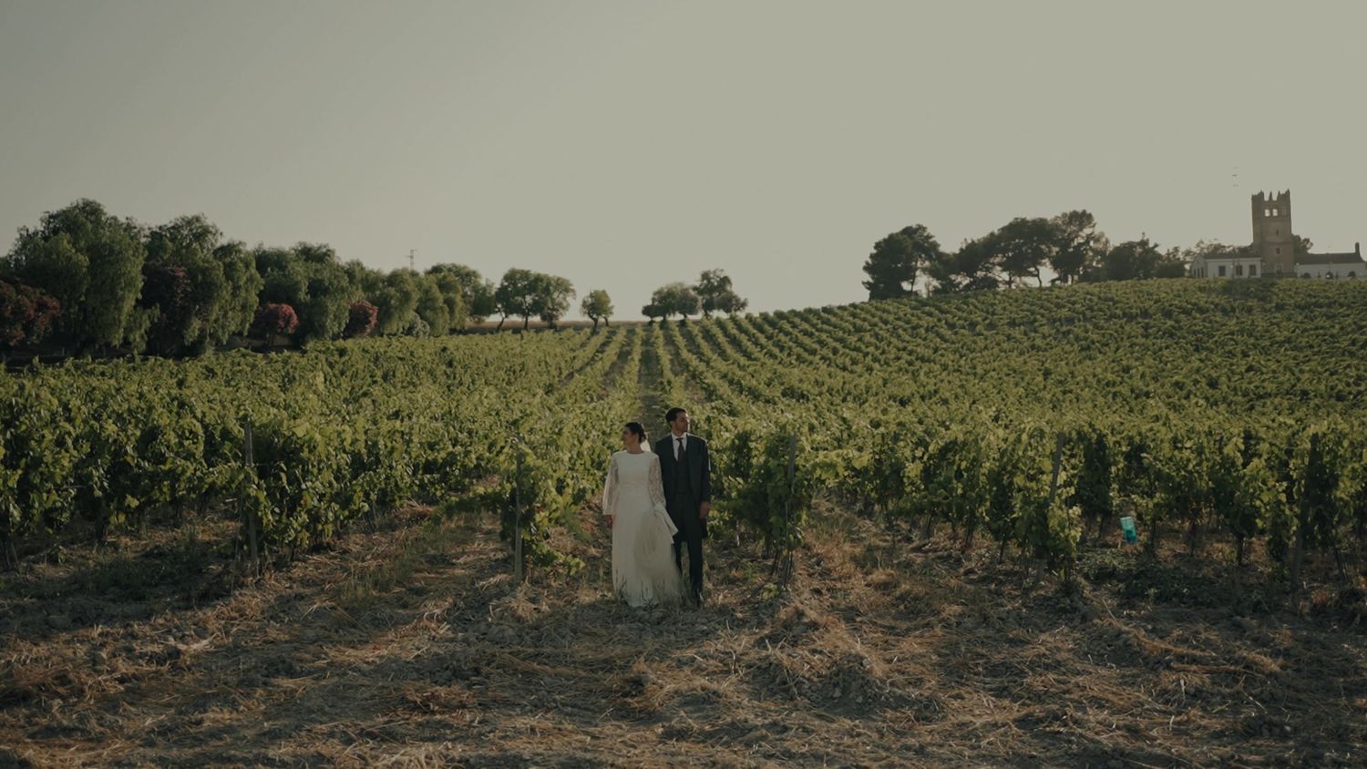 Bride and groom walk hand in hand through a vast vineyard on their wedding day.