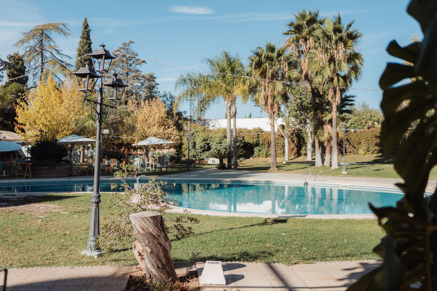 Scenic outdoor wedding venue with blue pool, palm trees, and lush garden on sunny day.