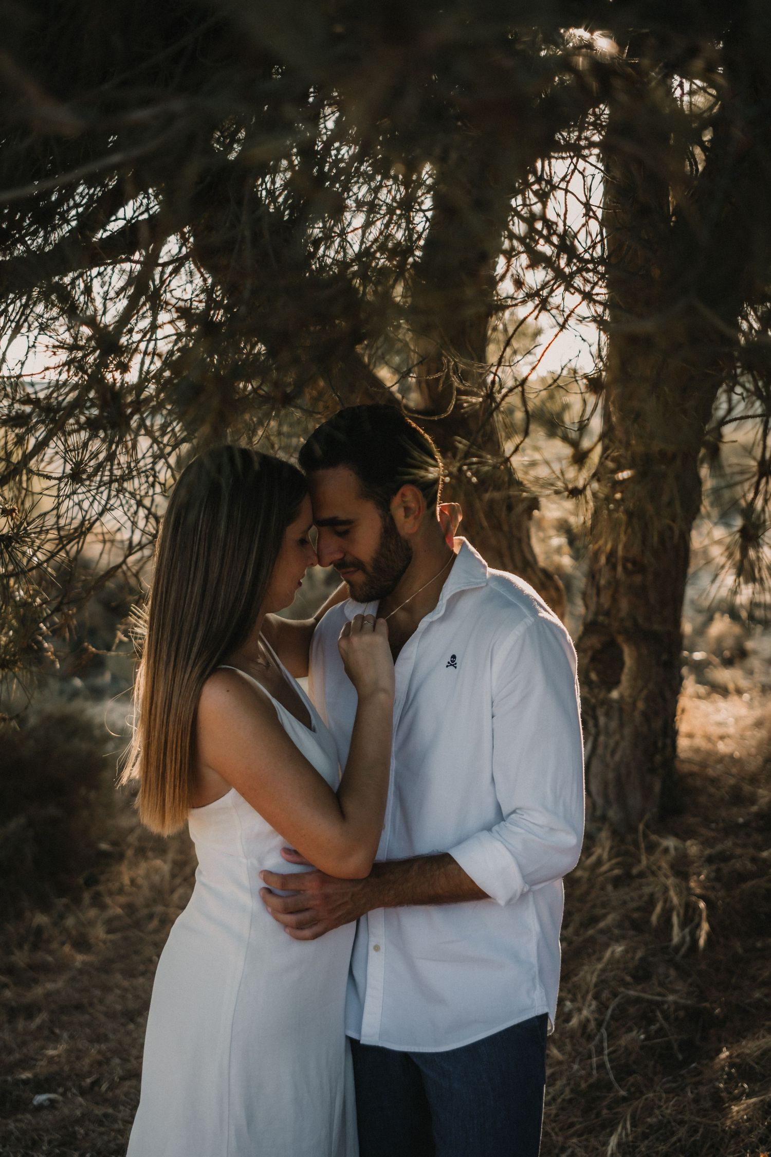 Romantic couple in white embracing forehead-to-forehead under a pine tree in warm sunset light.
