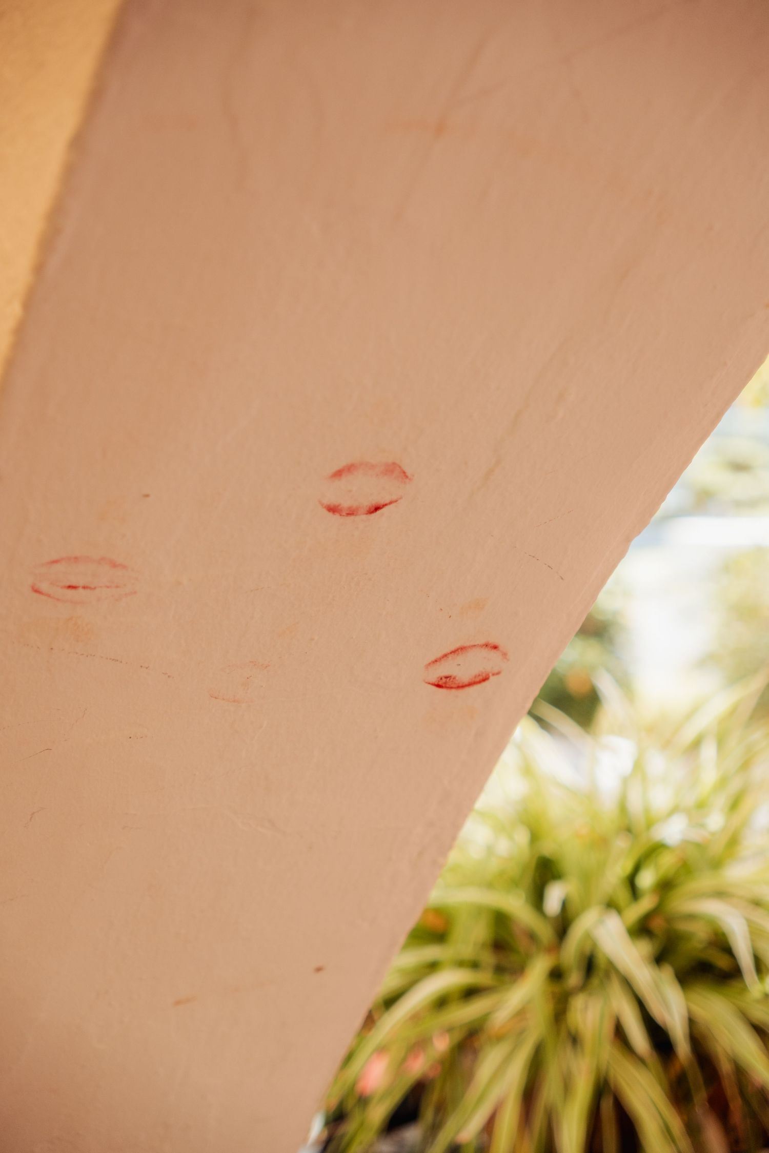 Pink wall with red lipstick kiss marks near green tropical plants at a wedding venue.