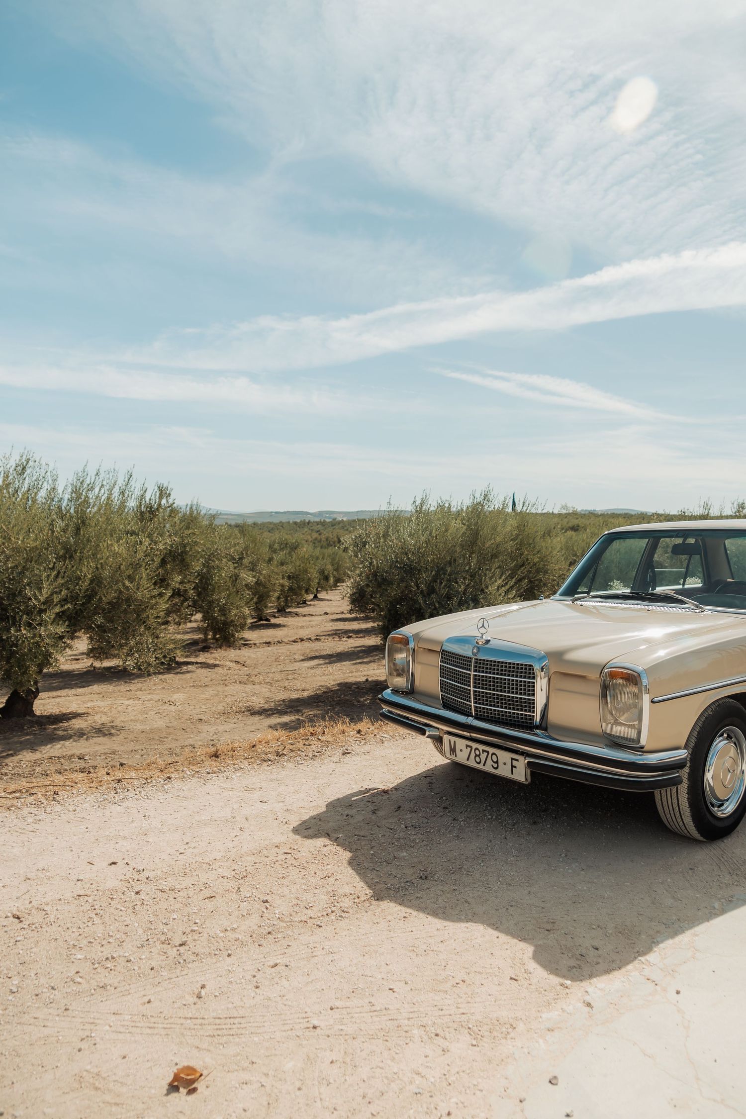Vintage Mercedes-Benz sedan parked on a dirt road beside an olive grove under a blue sky.