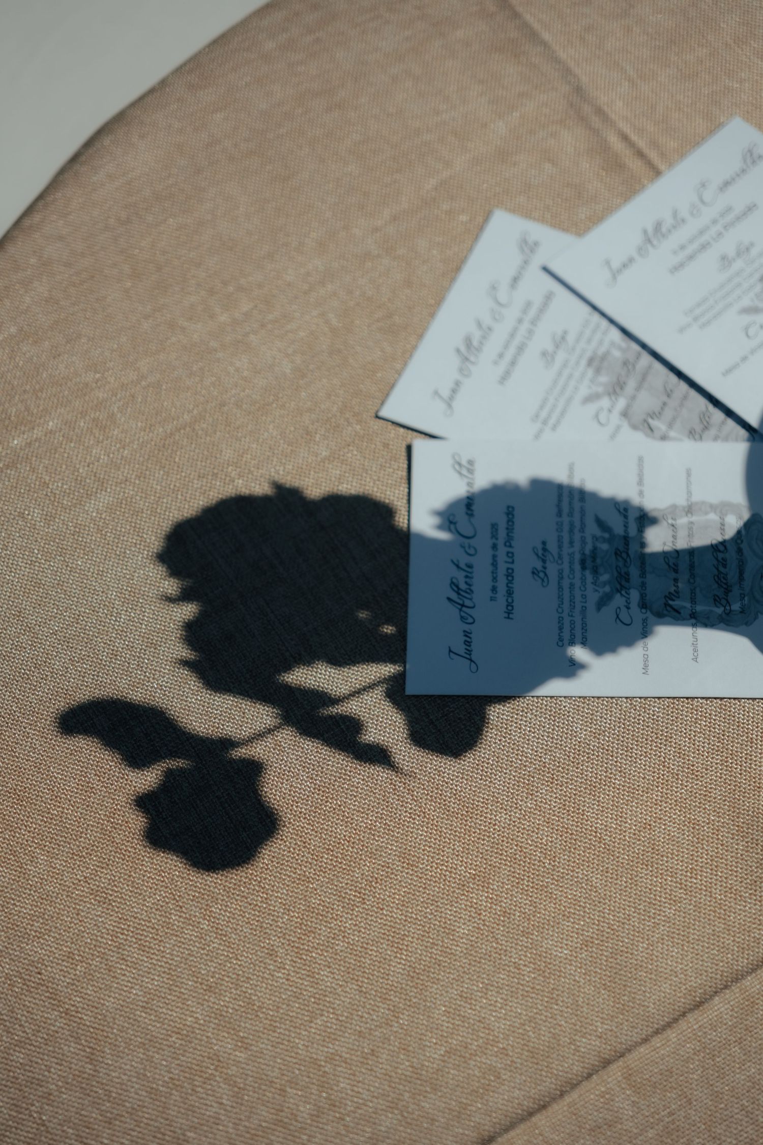 Wedding invitation cards with floral shadow cast on beige linen fabric in soft natural light.