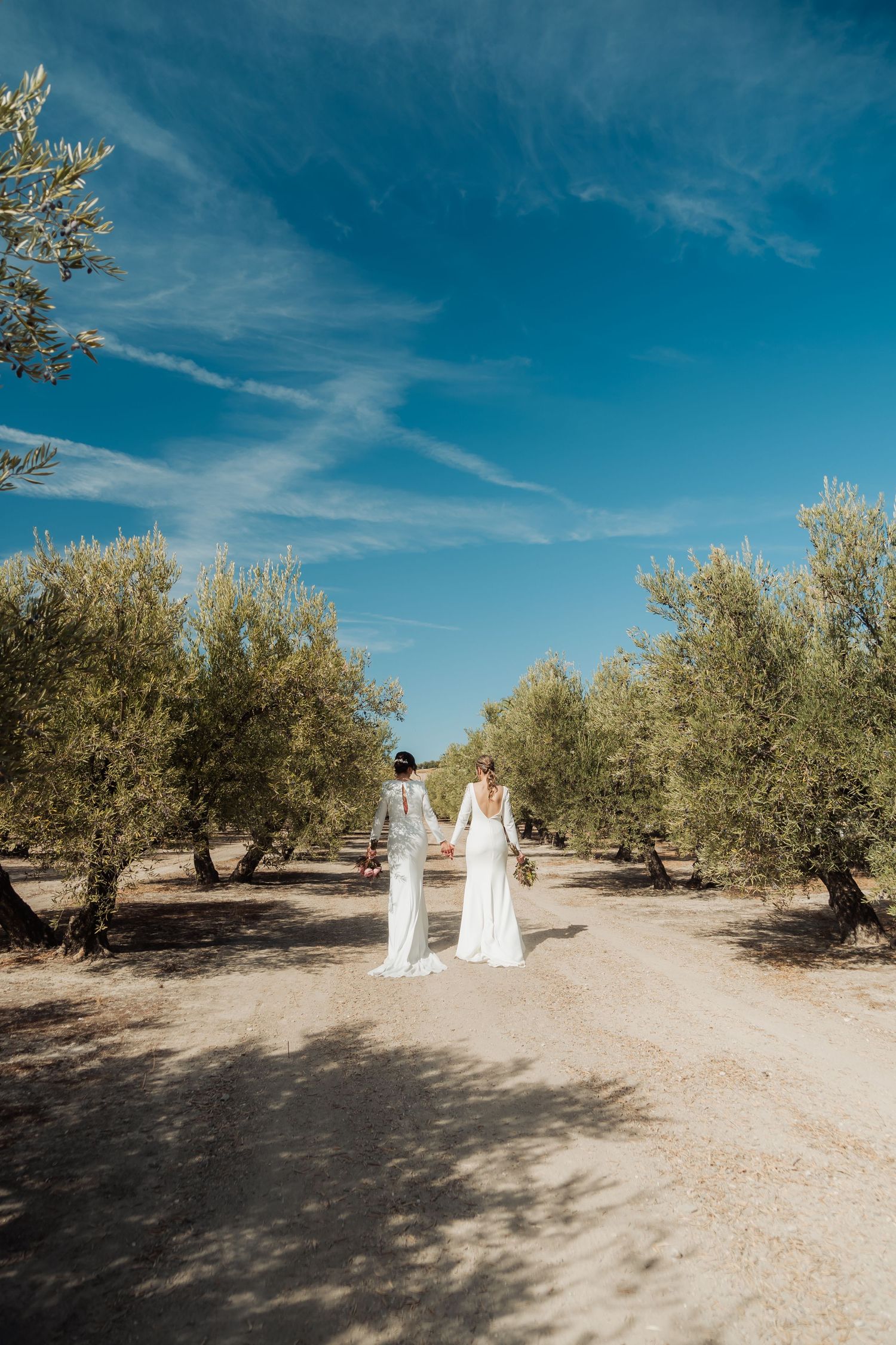 Two brides holding hands walking along a sandy path lined with olive trees under a blue sky.