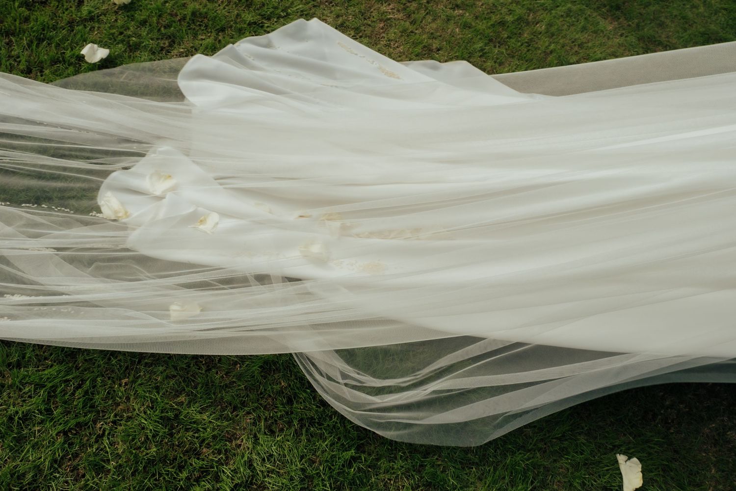Detailed view of a white bridal veil and dress train with flower petals scattered on green grass.