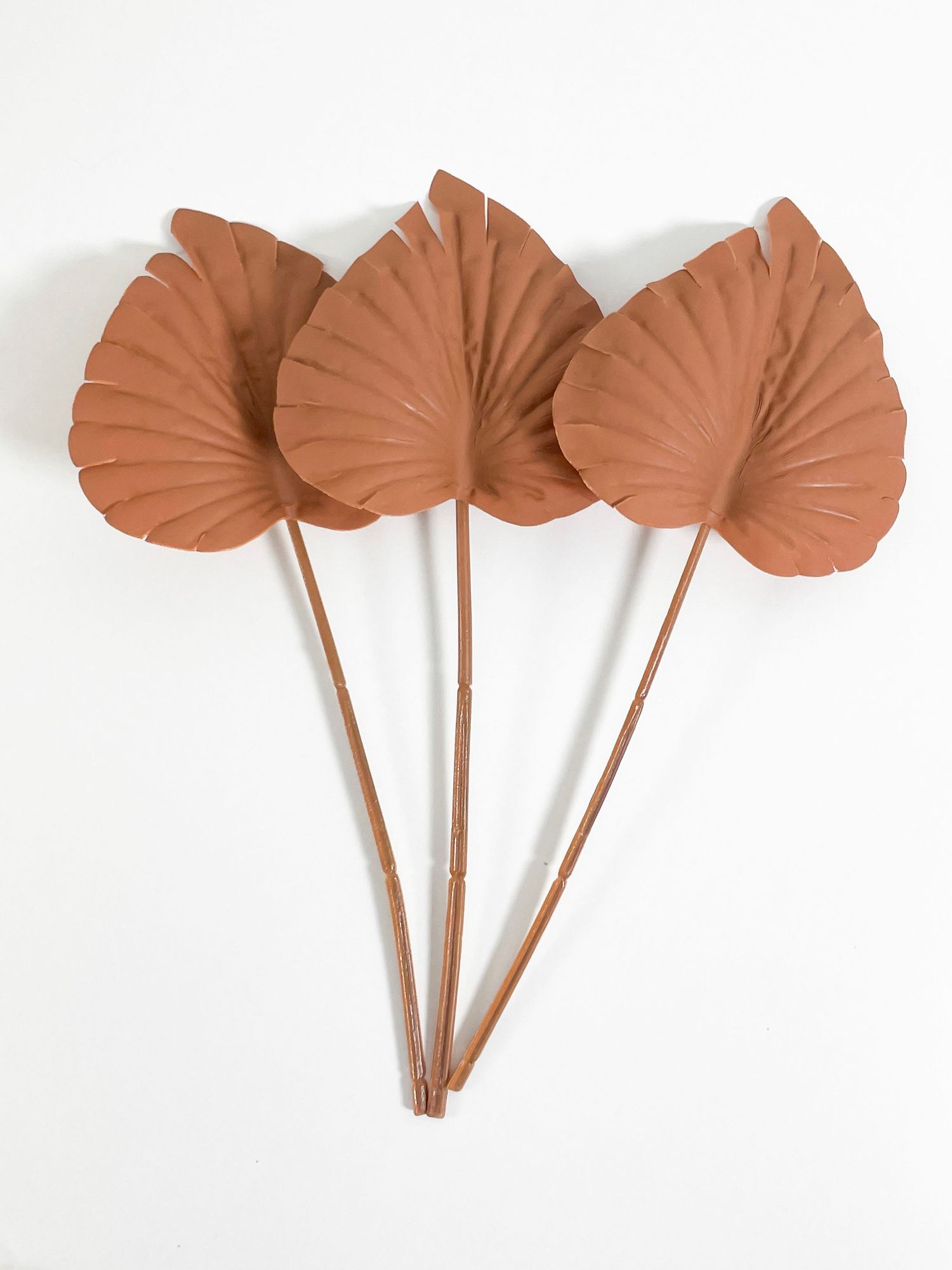 Three terracotta dried palm spear leaves on long stems arranged together against a white background.