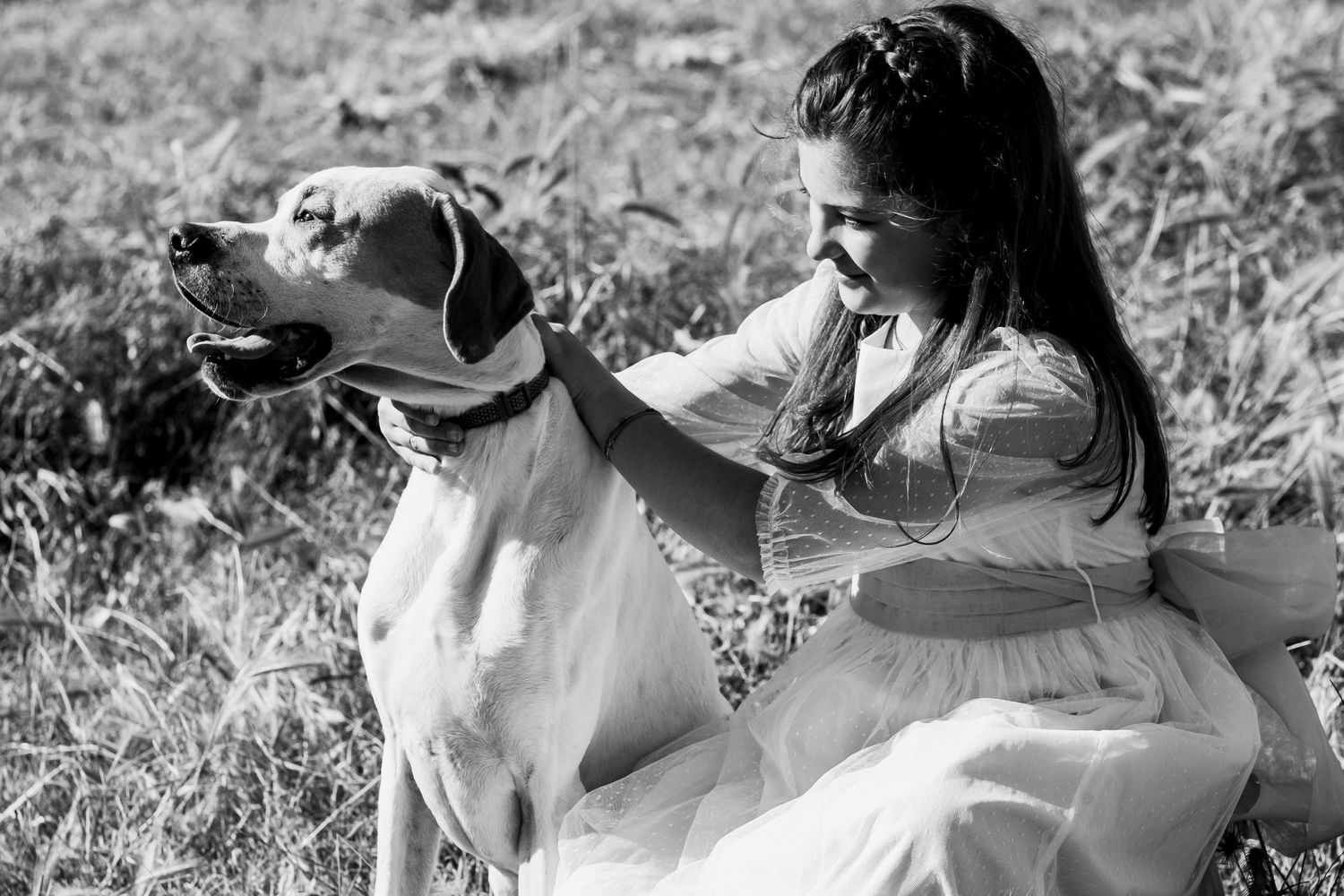 Sesión de comunión en Los Barrios inspirada en el legado canino de D. José Haro