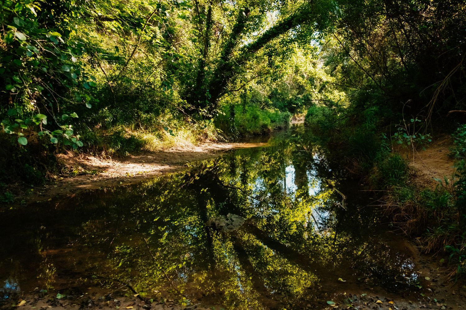 Rio de la Alaja en Pinar del Rey, San Roque