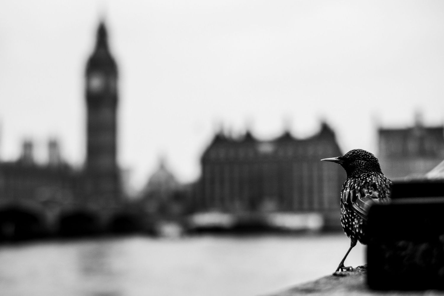 Fotografía con estética editorial, fotografía en blanco y negro, Londres, Reino Unido, Roberto Pecino Fotógrafo
