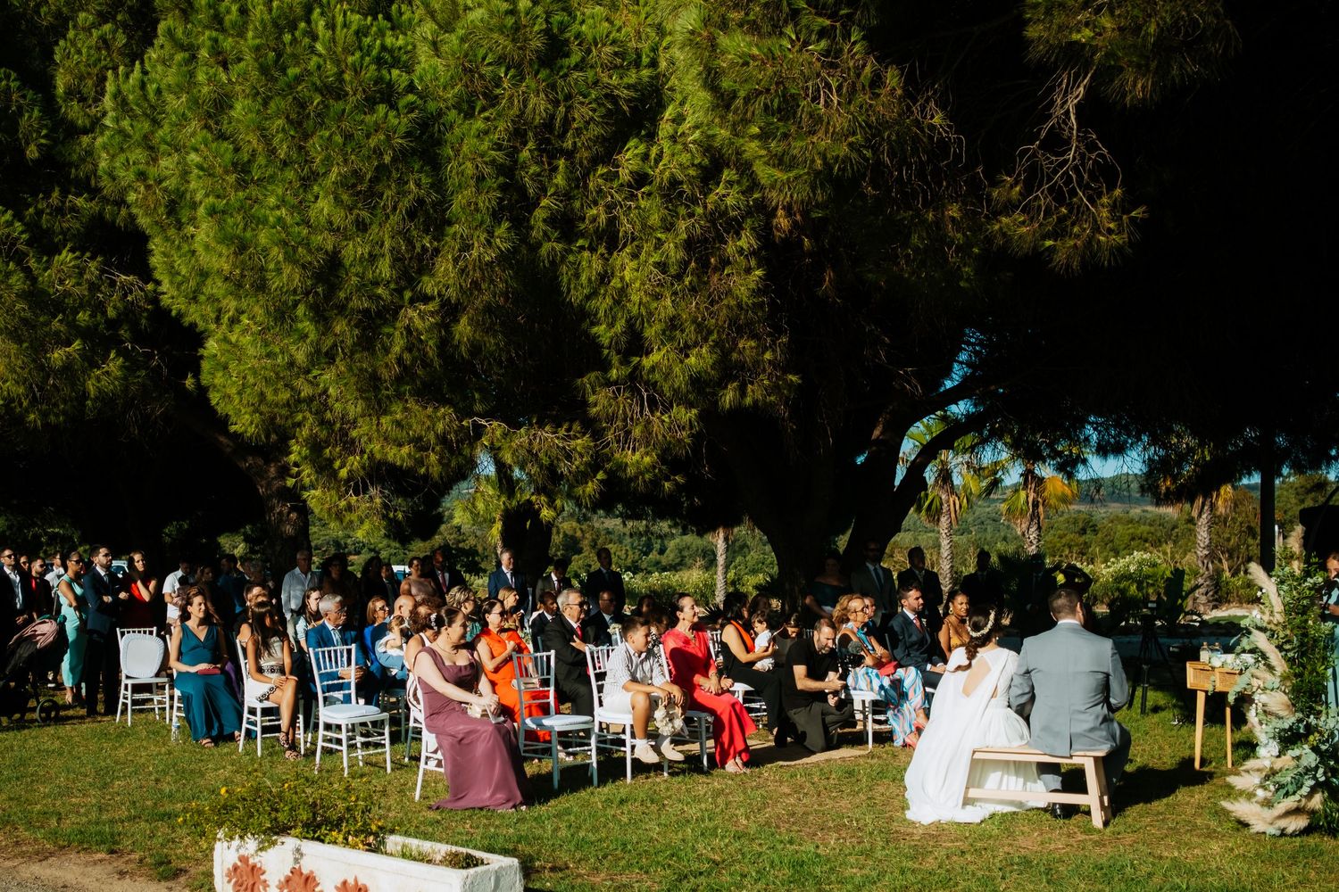 Boda Civil en Soto de Roma