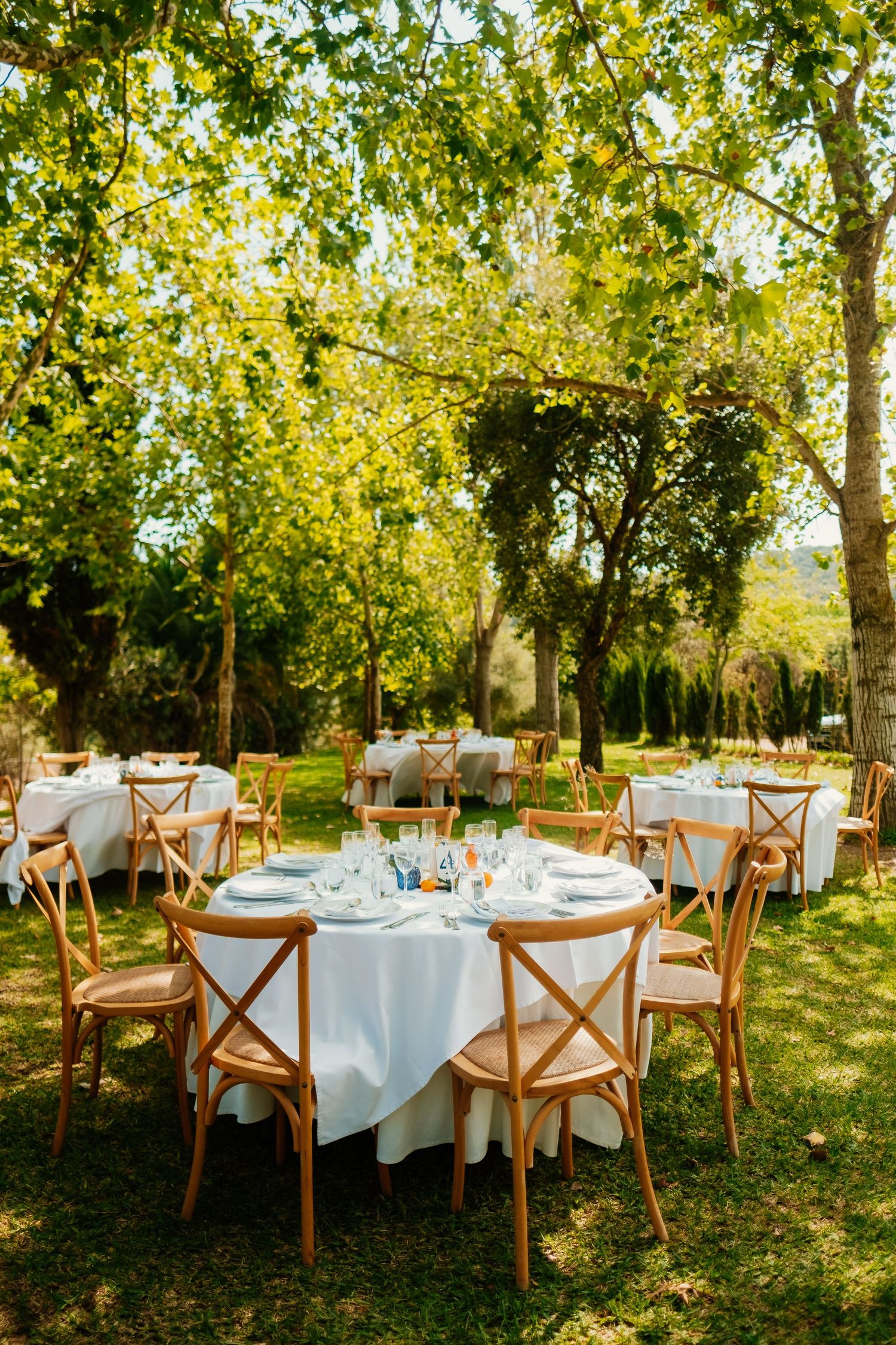Mesa para banquete en Hacienda Almoguera