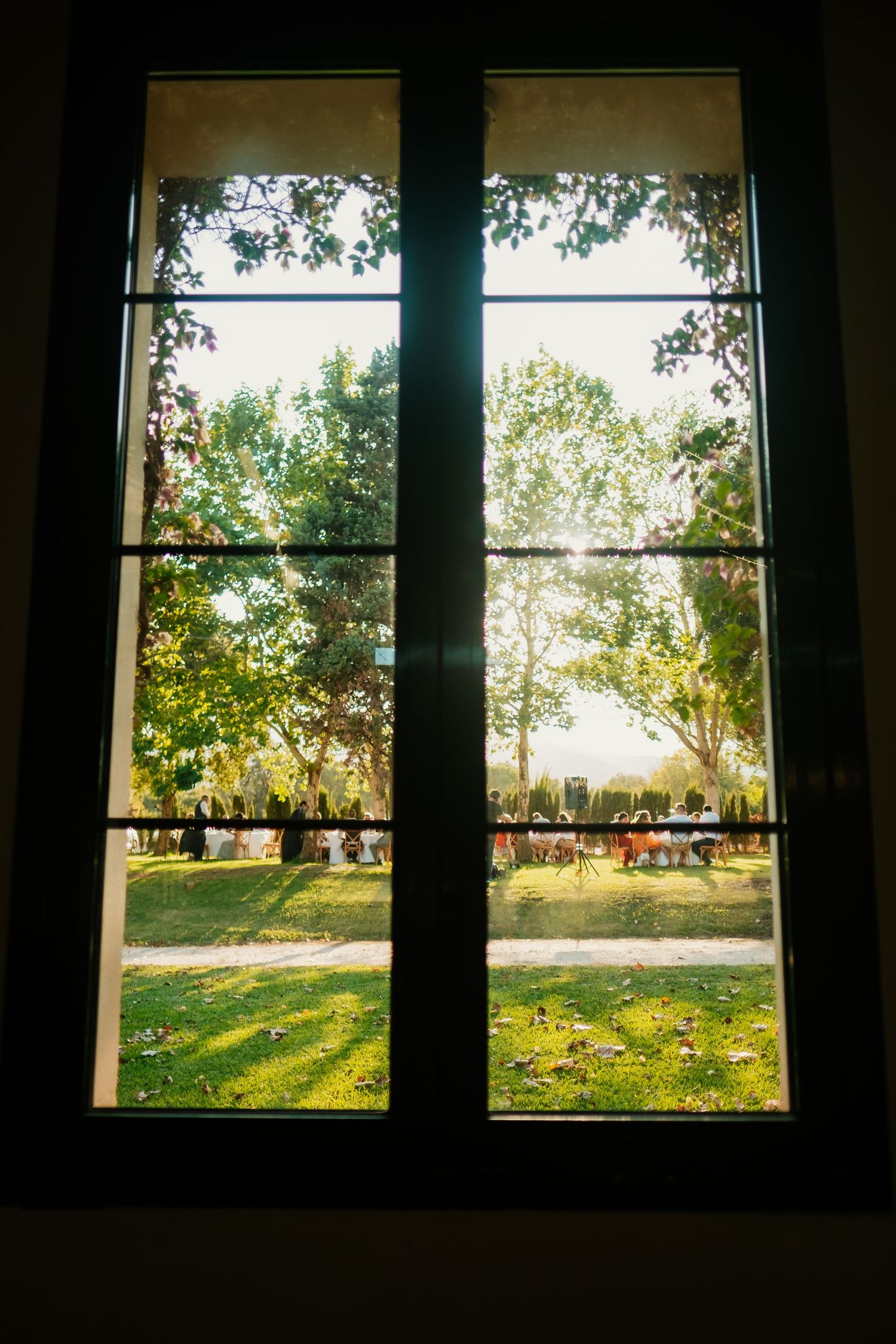 Vistas desde el salón de Hacienda Almoguera