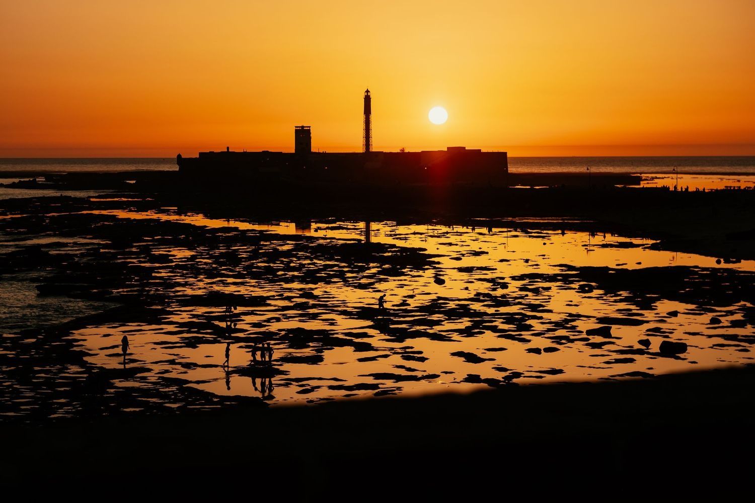 La luz del atardecer en la boda en el Baluarte, Roberto Pecino Fotógrafo de boda en Cádiz