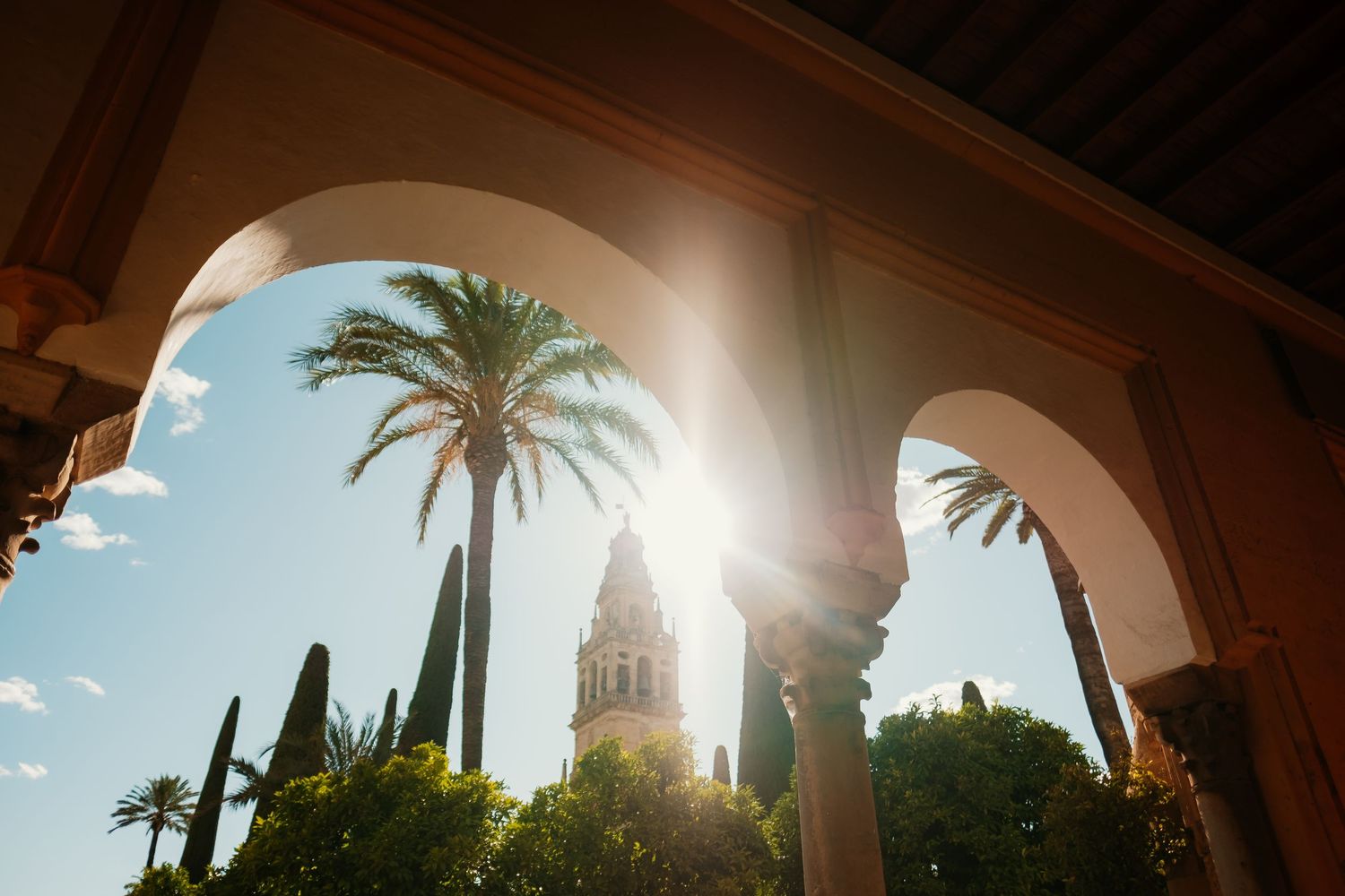 Patio de Los Naranjos